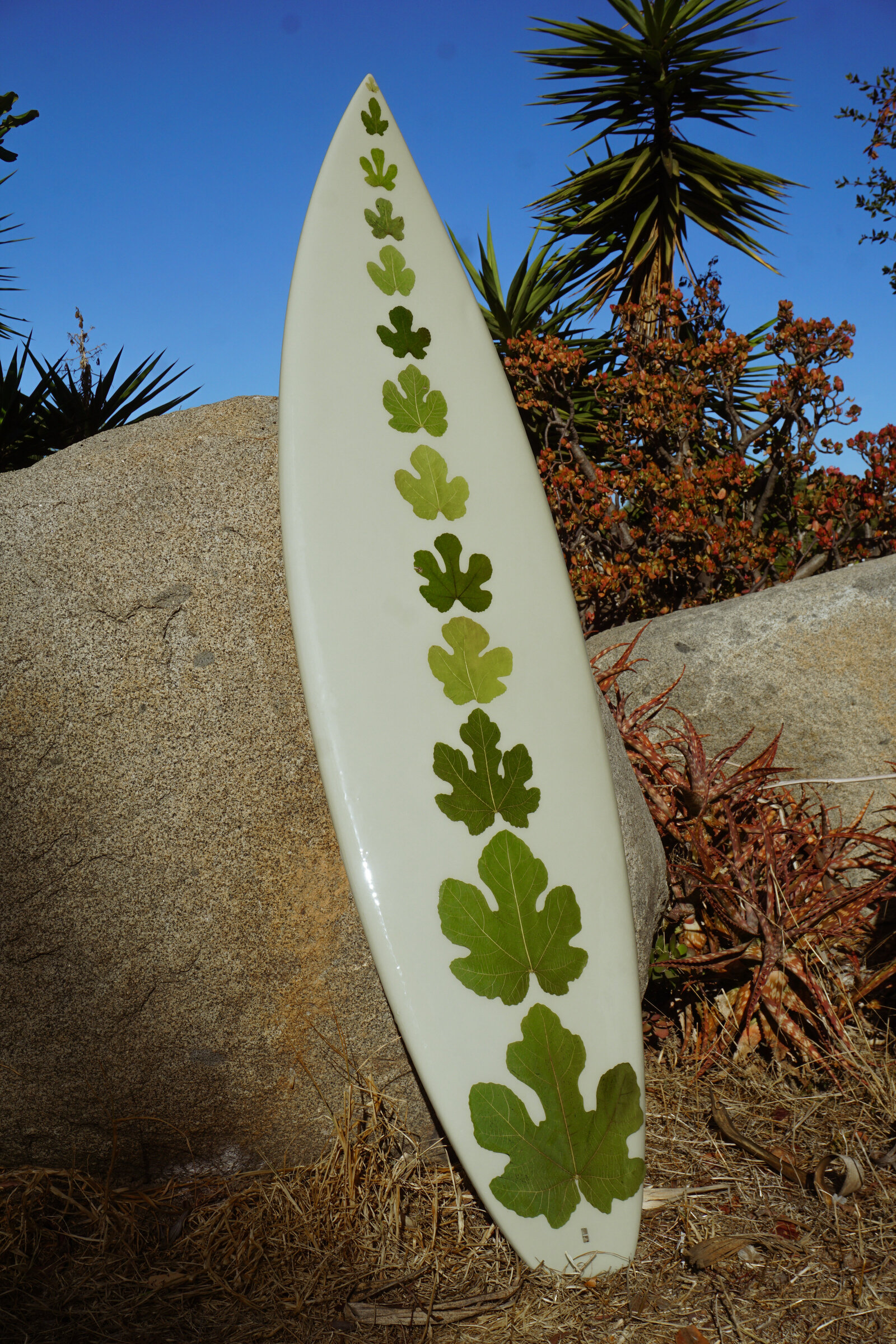 Floral Surfboards  2024-09