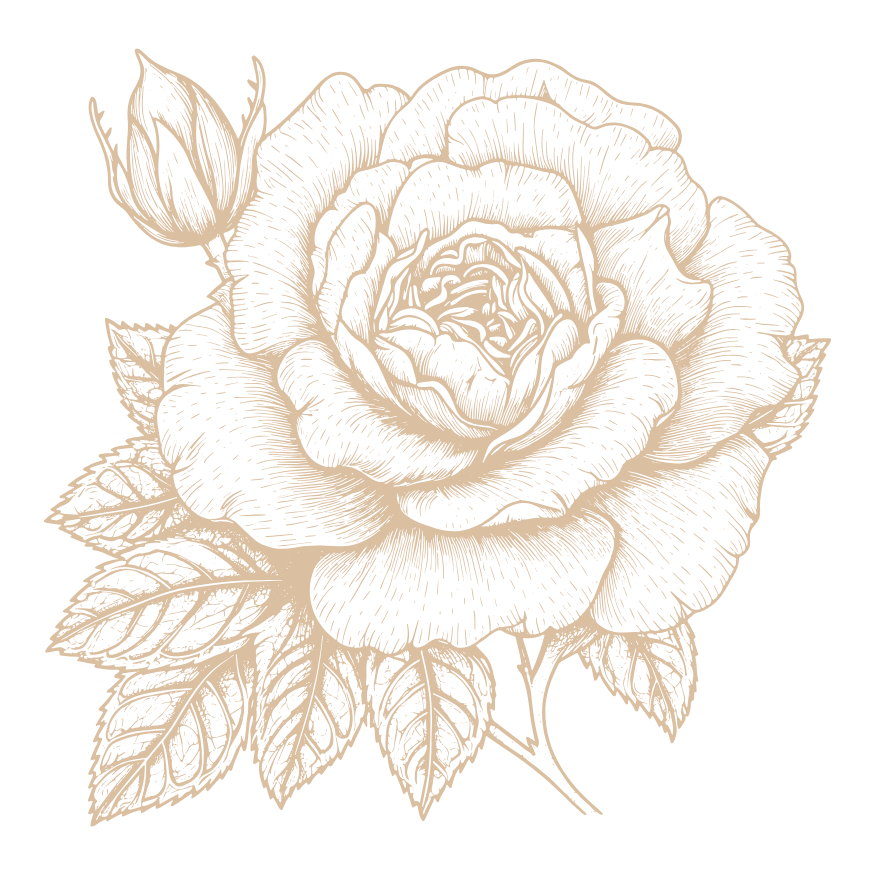 rose sketch