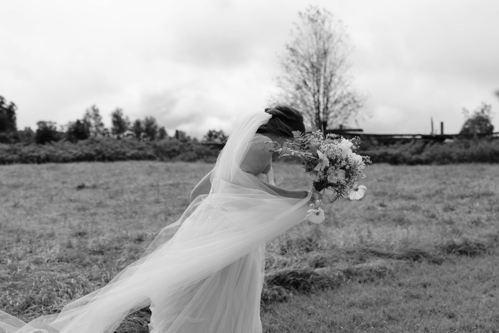 WILD LACE PHOTOS mel & Lukan's wedding-437