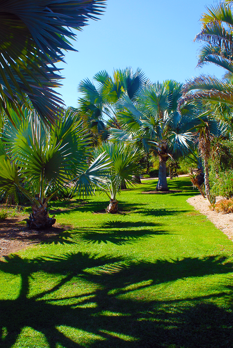East-Coast-Lawn-Mowing-Services-Port-Orange-and-Daytona-Beach