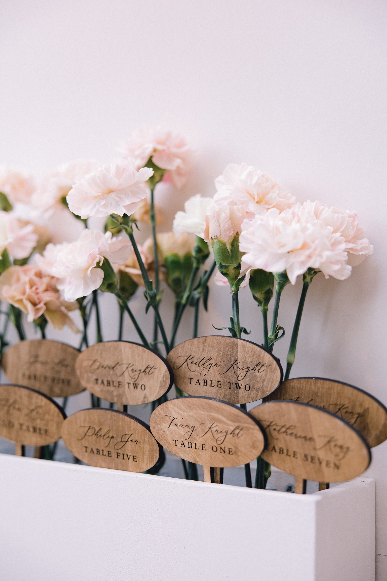 WilleyWedding_5C5A1194