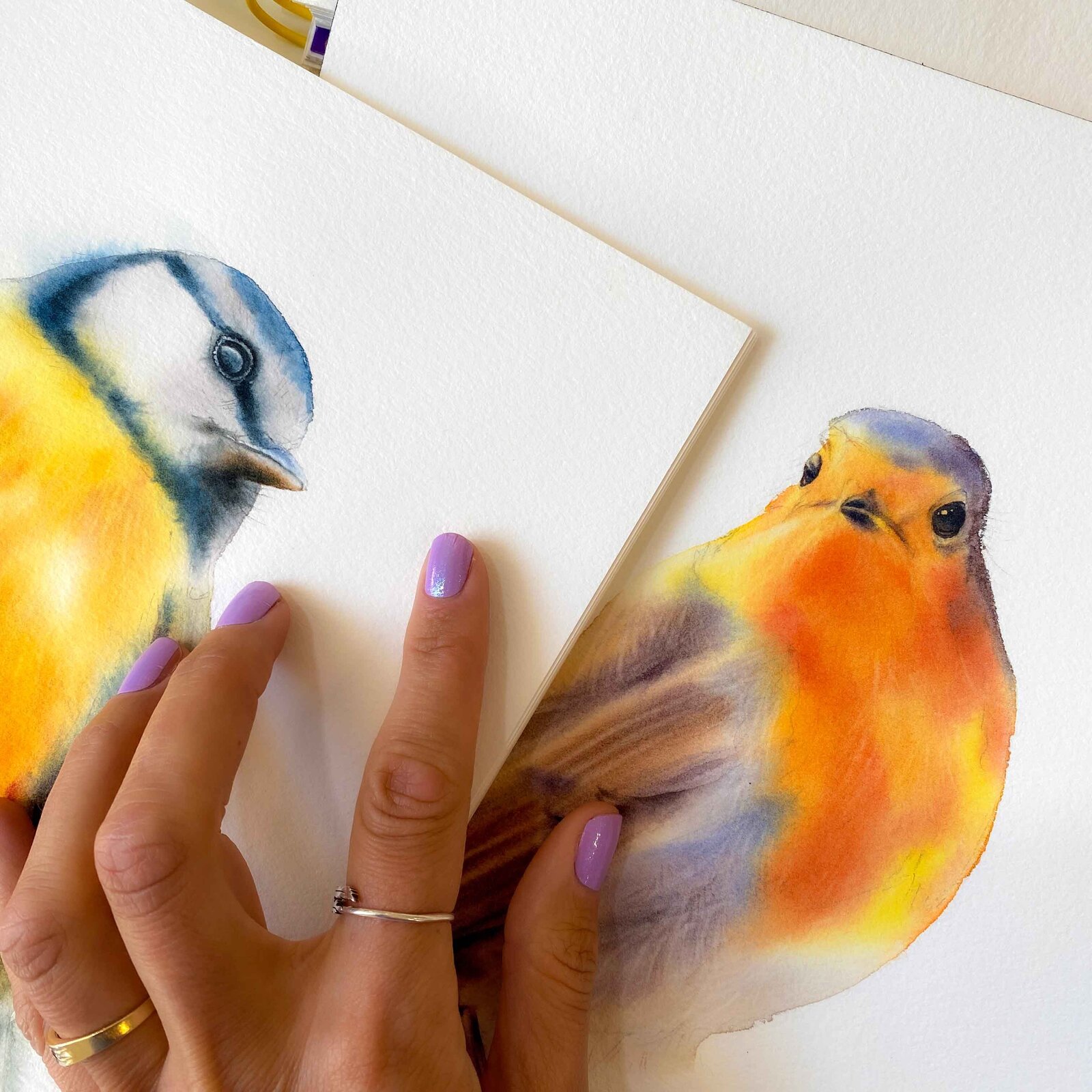 birds-watercolors-realistic-2