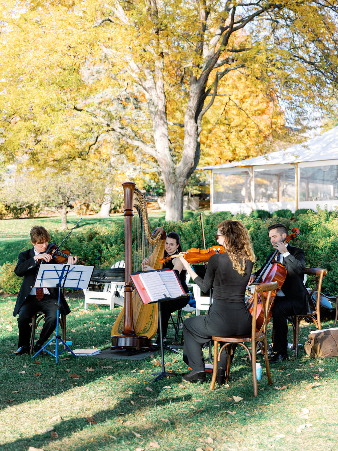 Four piece string quartet play on the lawn of a luxury resort in the Finger Lakes.
