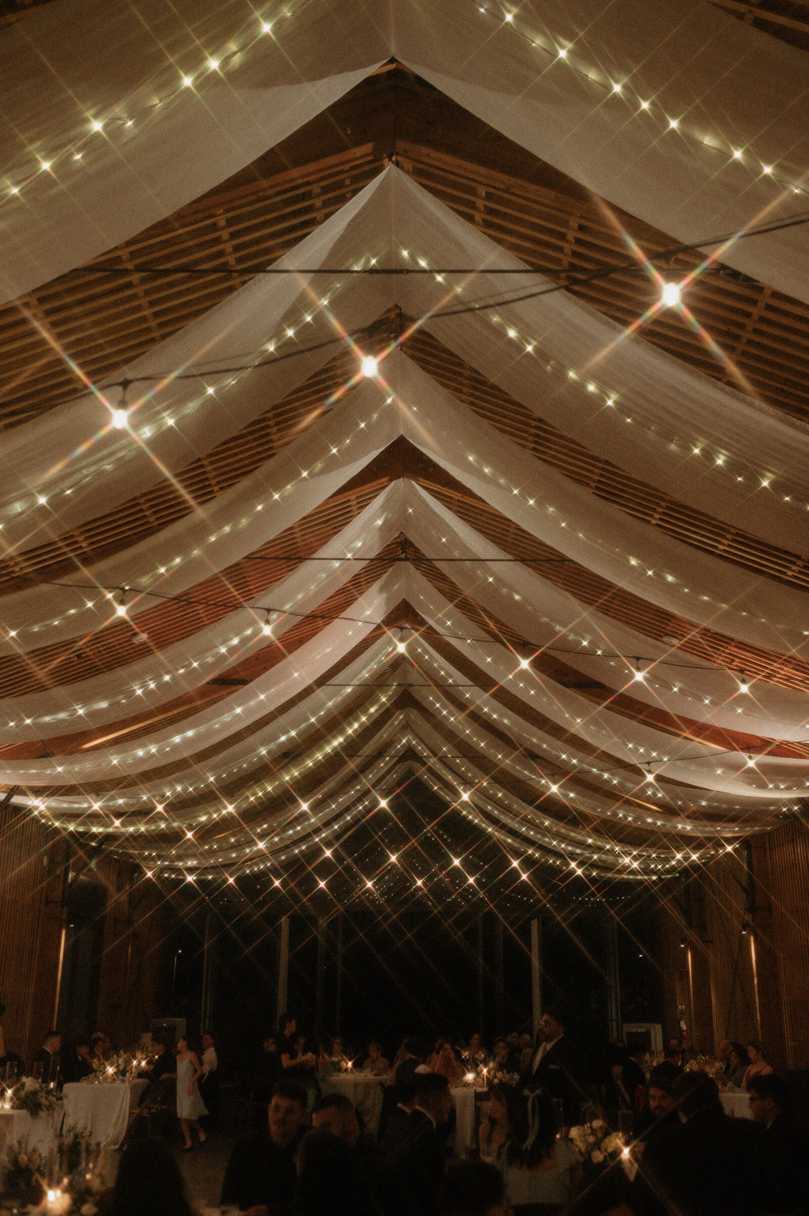 TheCarmonasWeddingAZ-1241