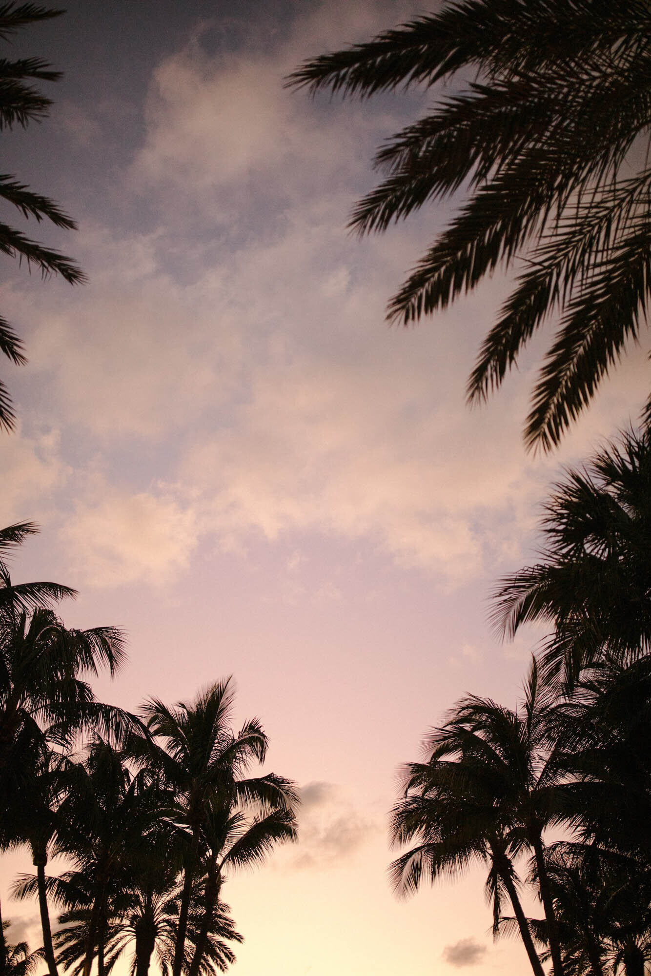 fusion-wedding-the-breakers-palm-beach-07