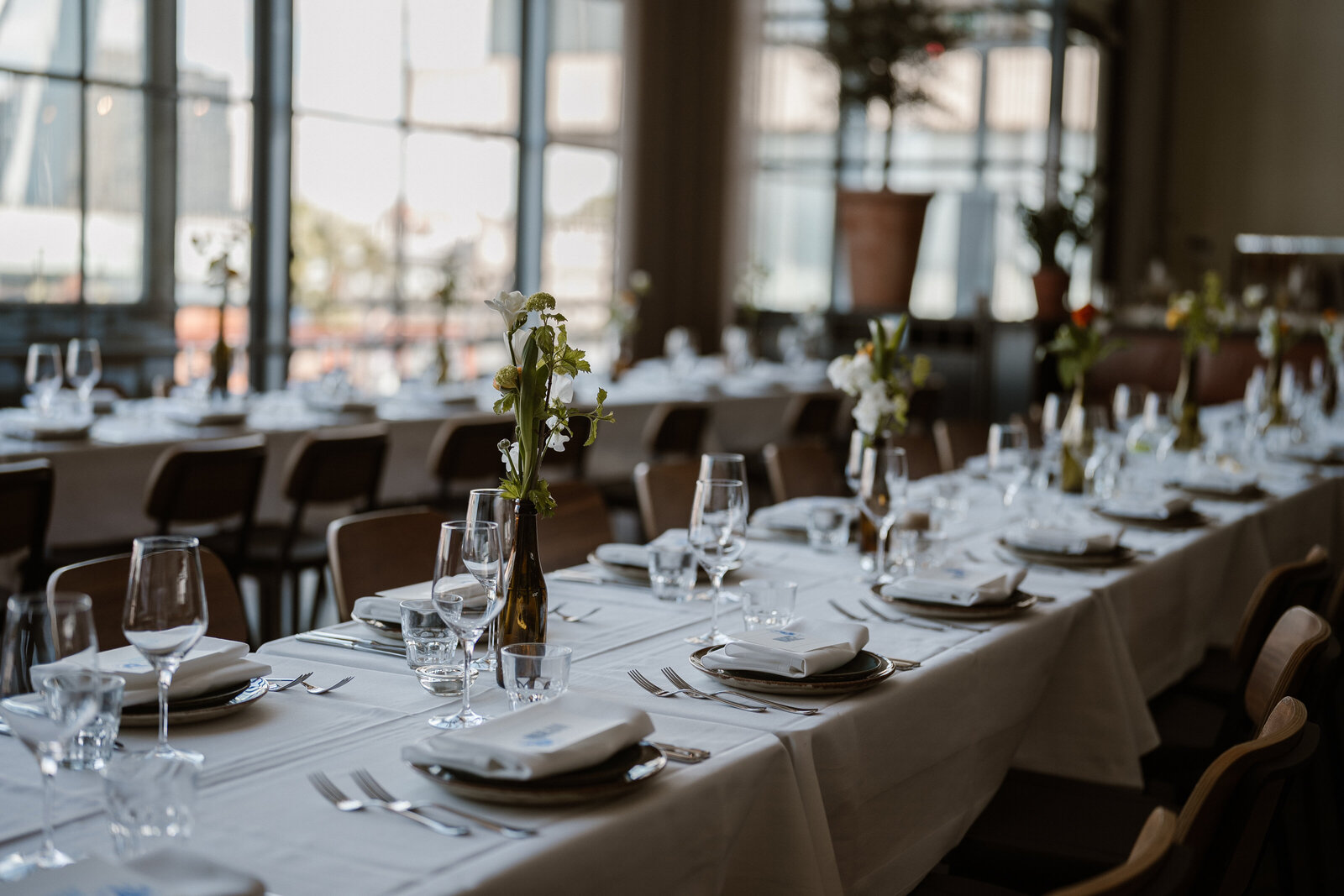 Daphnebaronfotografie-200