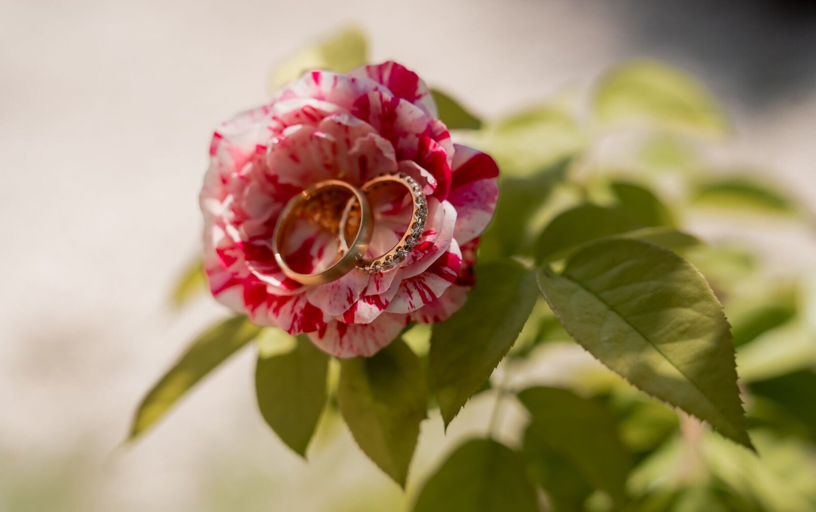 Lesley-Houtkamp-photography-trouwfotograaf-bruiloft-fotografie-trouwenitalië00006