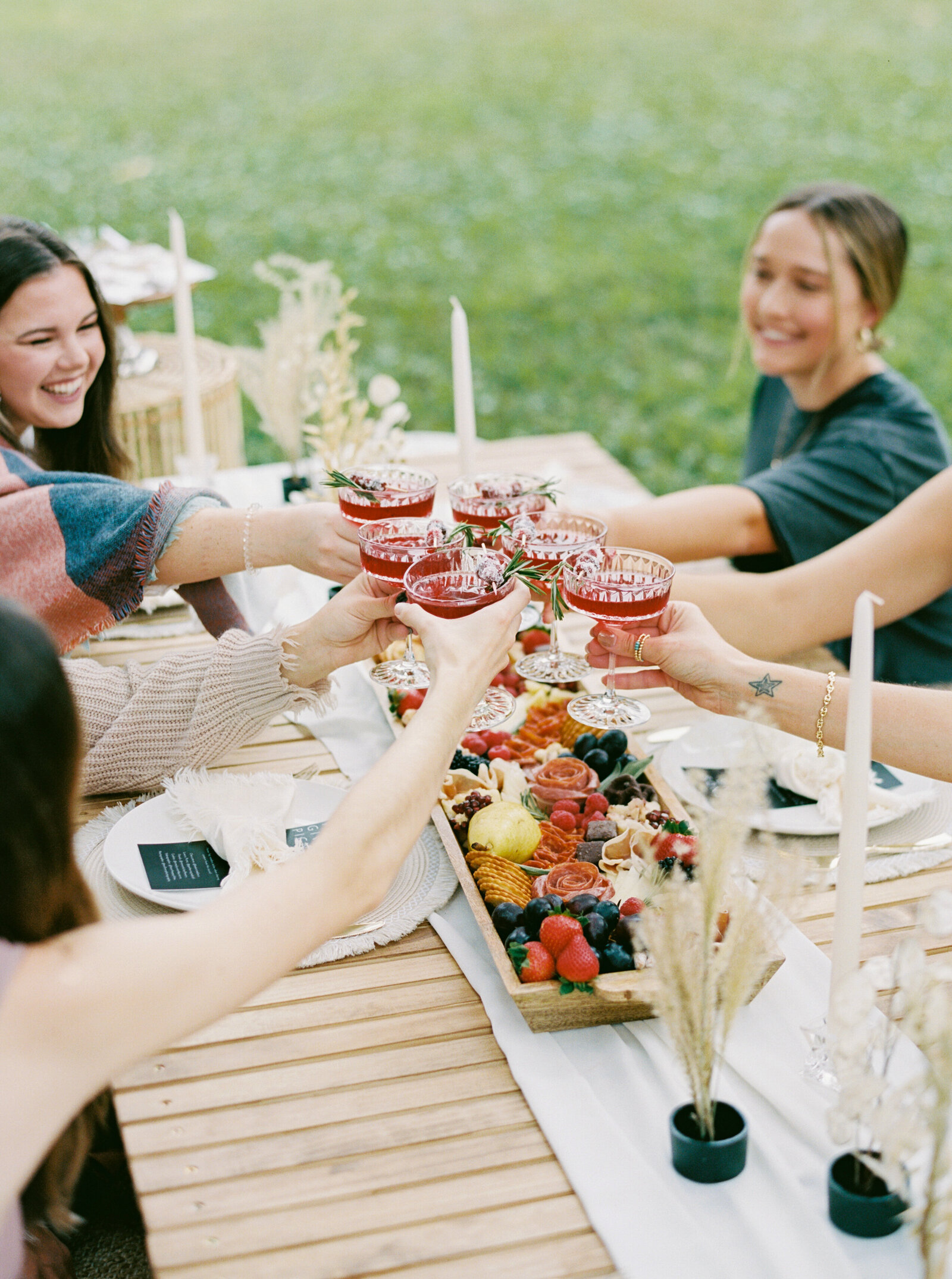 Picnic with charcuterie and toasting glasses
