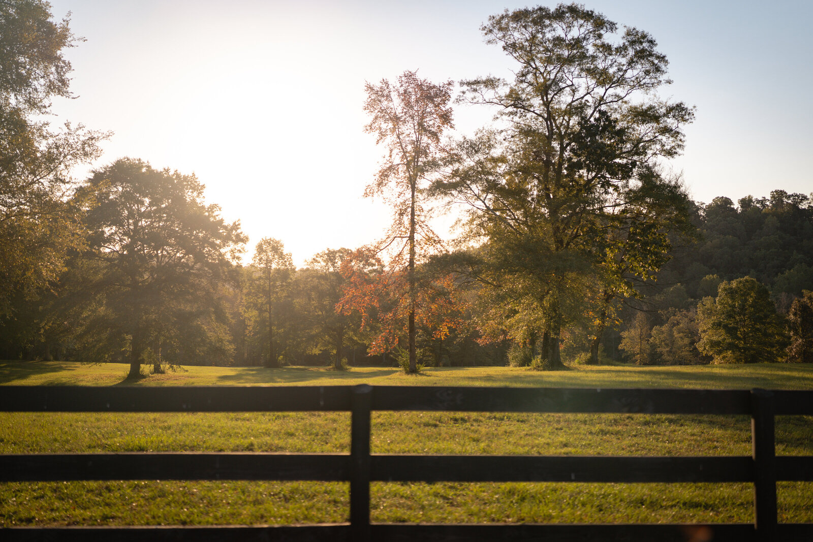 mjmphotography.blackjack.2024-32