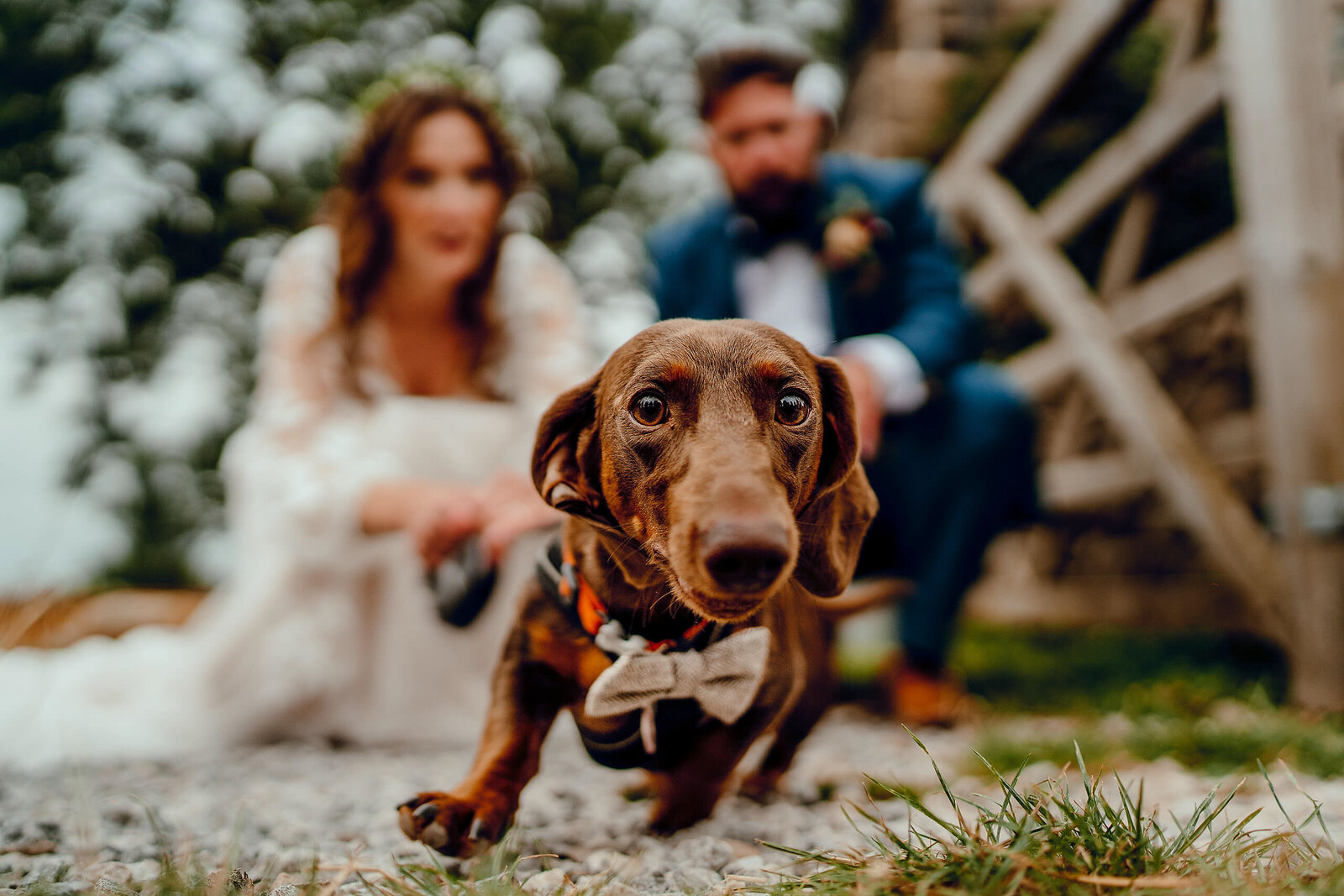 Chilli Barn Wedding Photography Hamish Irvine