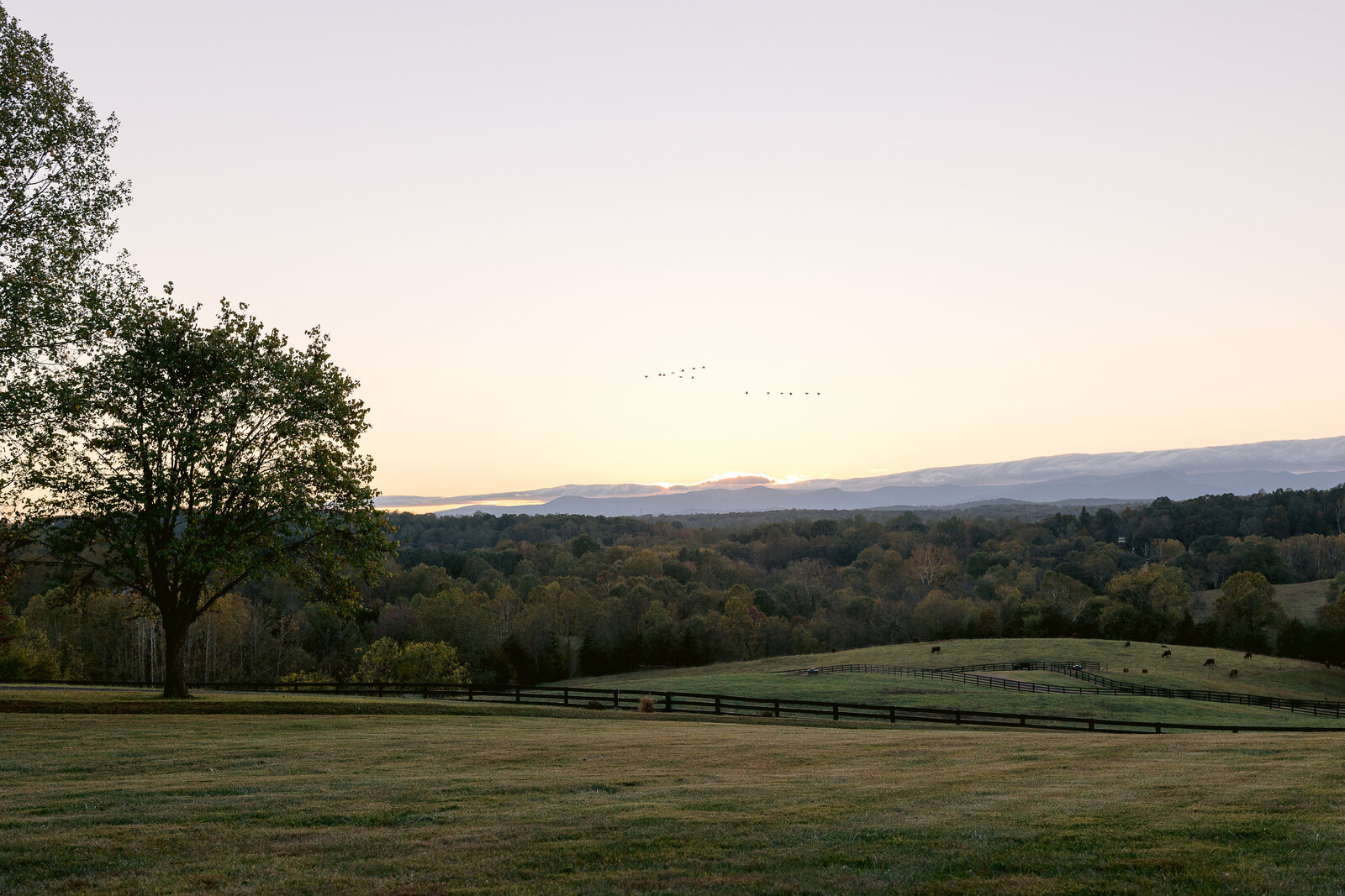 HighlandRidgeStyledShoot-39