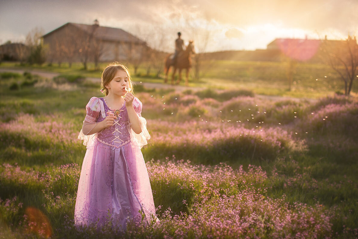 todd-creek-colorado-horse-brighton-princess-dandelions-blow-purple-dreamy-farm-hobby-ranch-children-photographer
