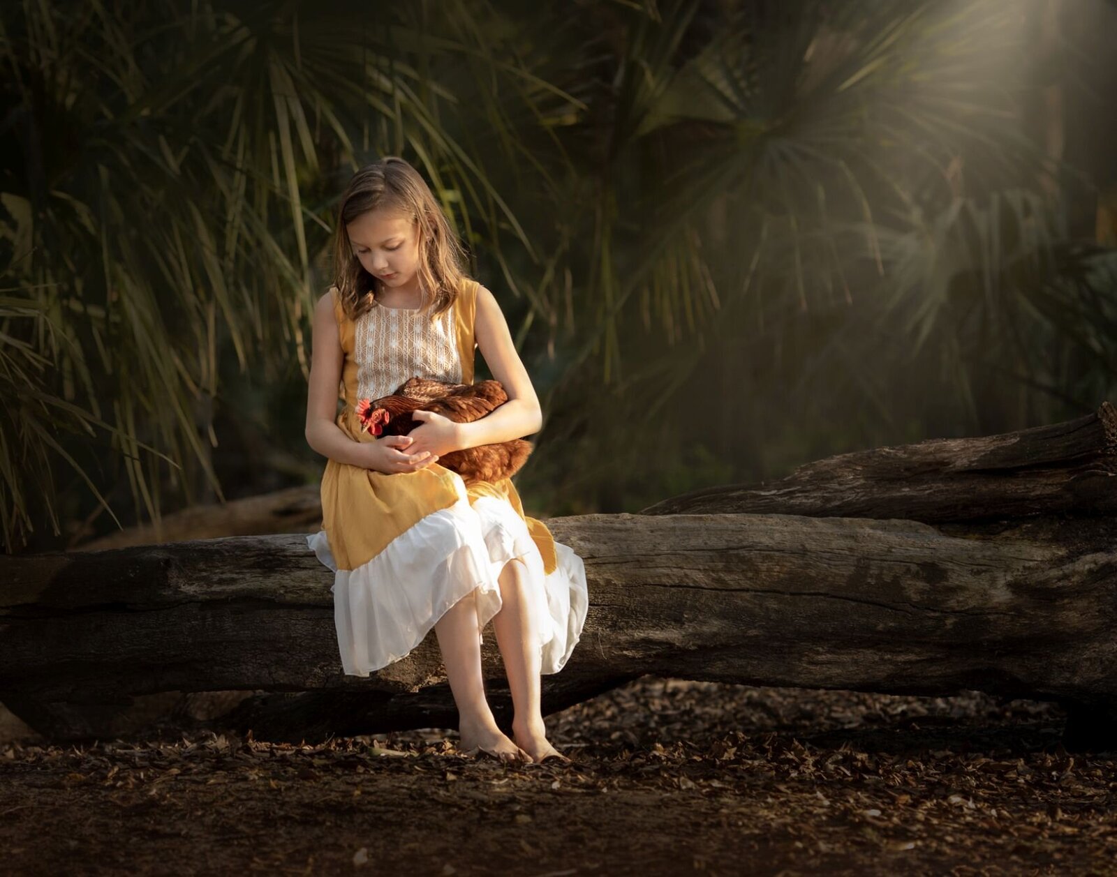 lilla-bordas-portraits-tampaKIDS-AND-PETS-photographer1815