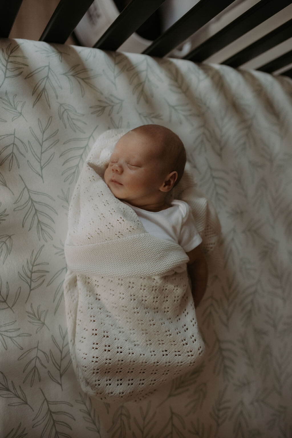 AbigailElizabethPhoto-3914