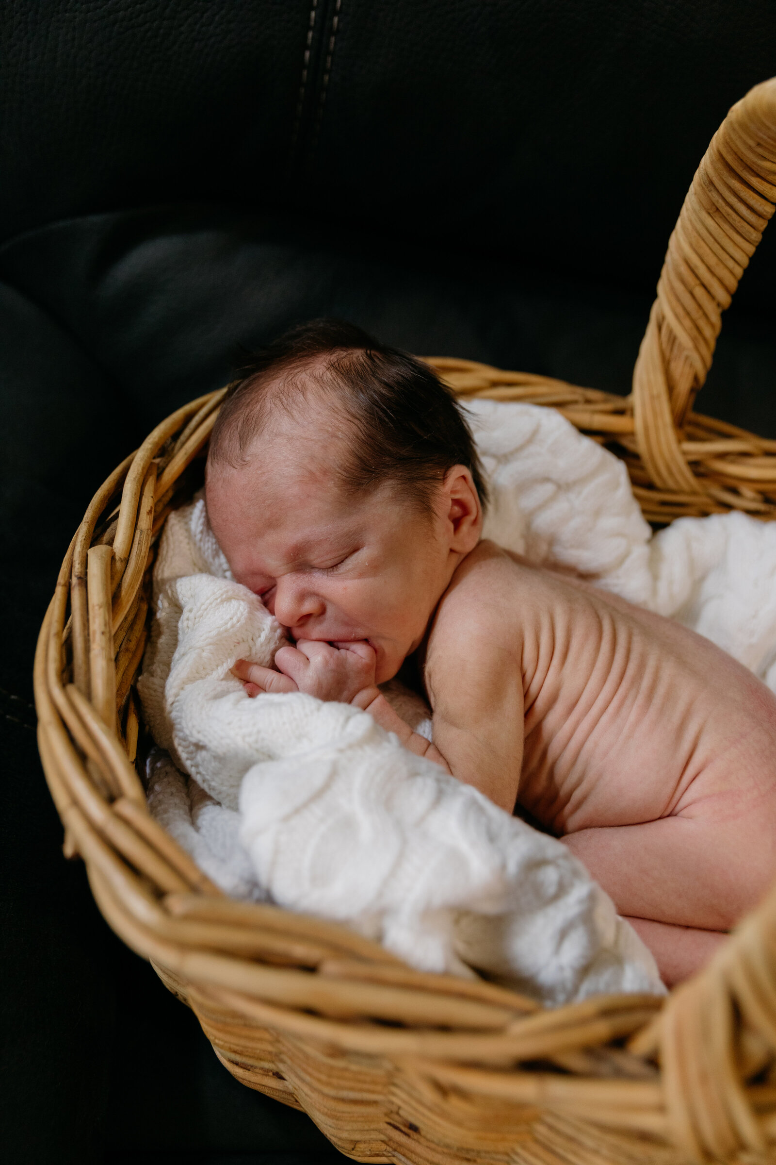 Newborn-208