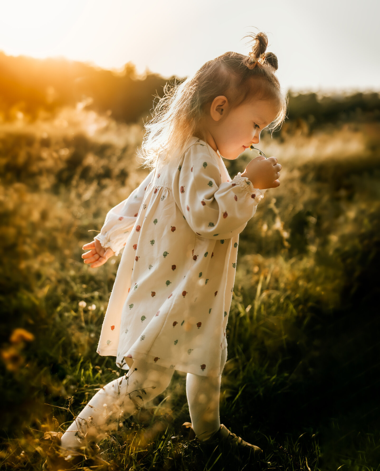 Maternity Photographer Portfolio