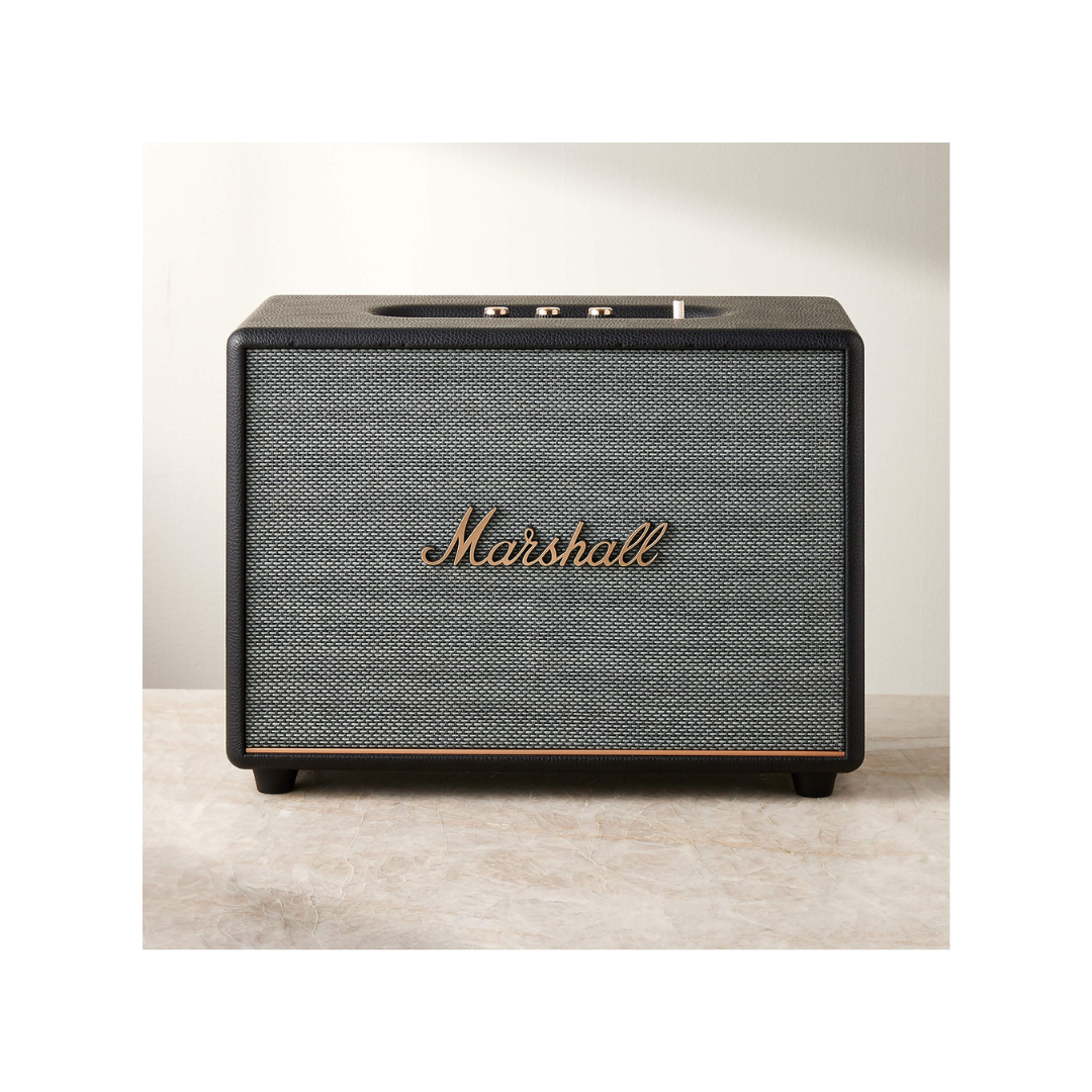Marshall Vintage Speaker