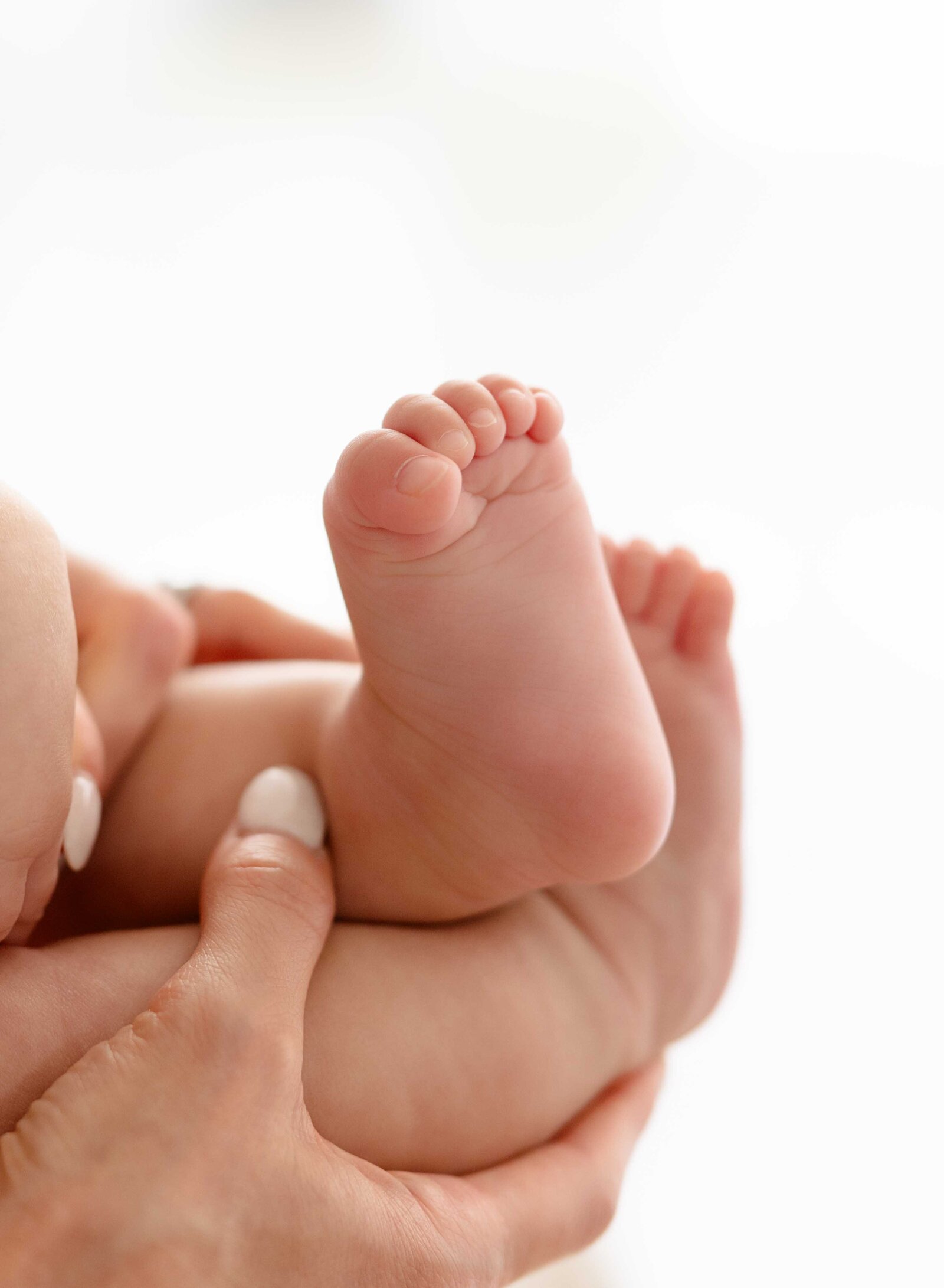 Woodstock-Baby-Photo-Studio
