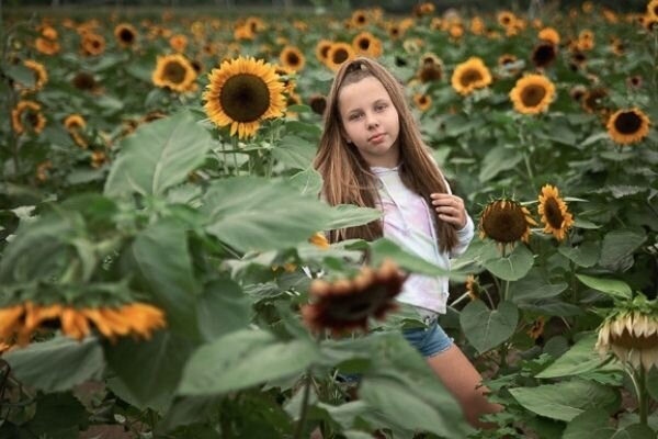East Brunswick NJ Family Photographer Johnsons Locust Hall Farm Sunflowers Tween Girl