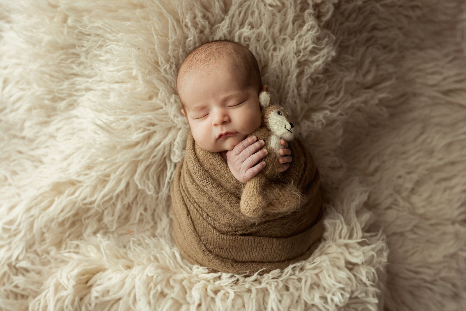 Newborn baby boy swaddled in brown swaddle holding a stuffed deer