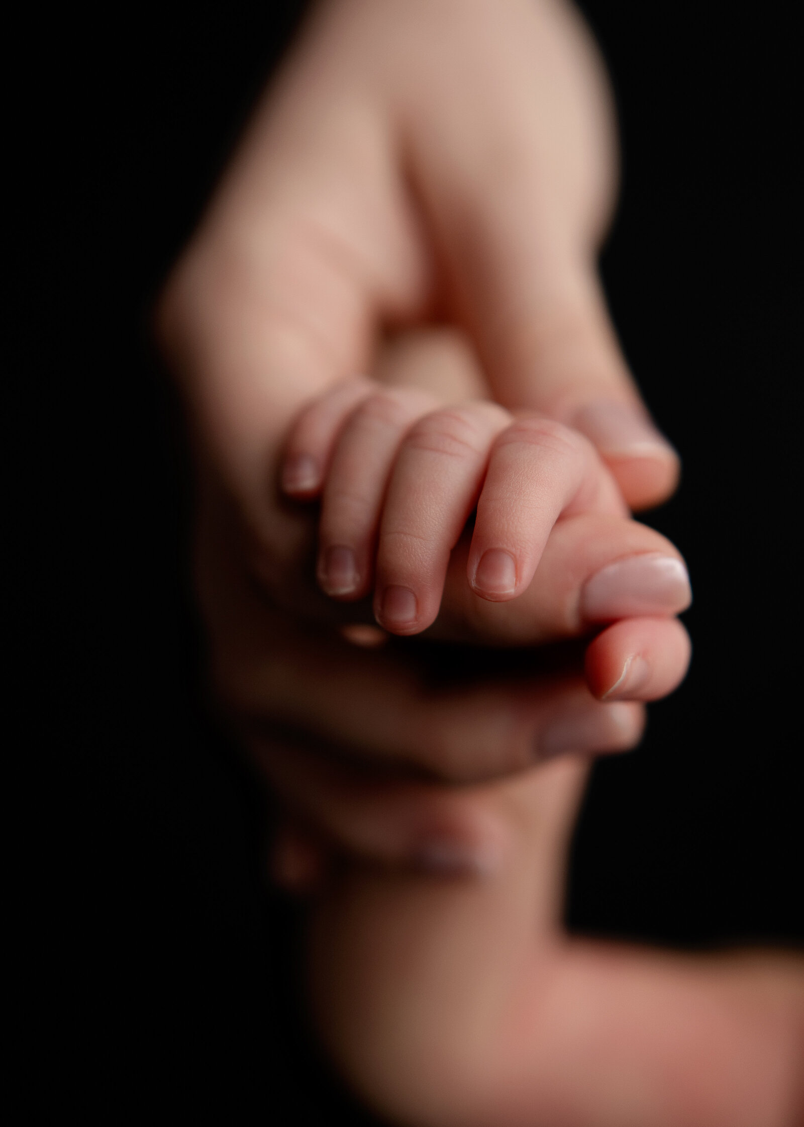newborn photographer atlanta