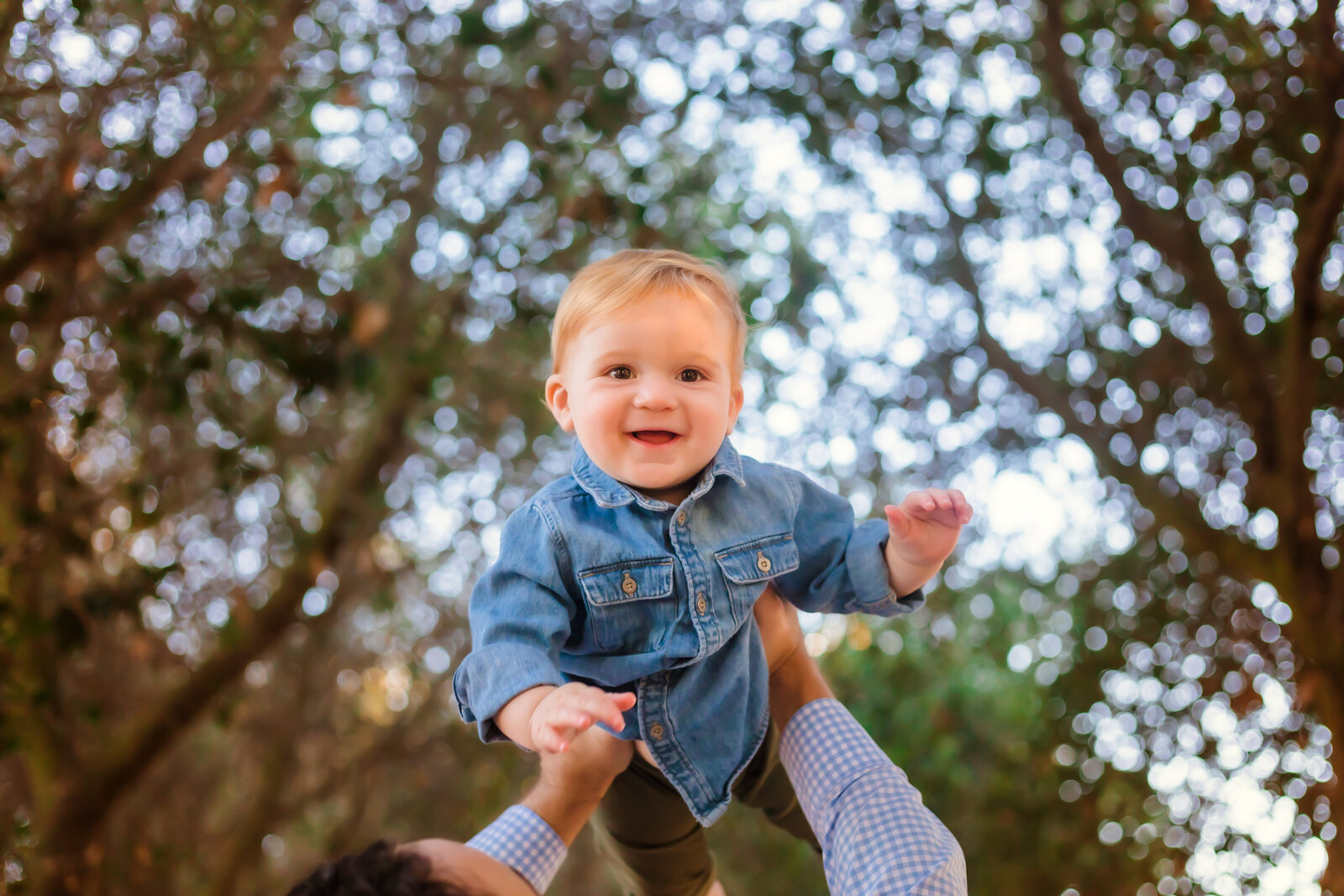 Family Photographer, parents arms raise their smiling baby boy into the air