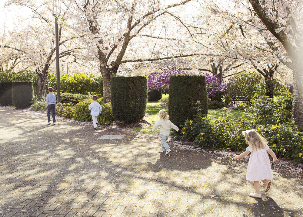cherry blossom family photos_1