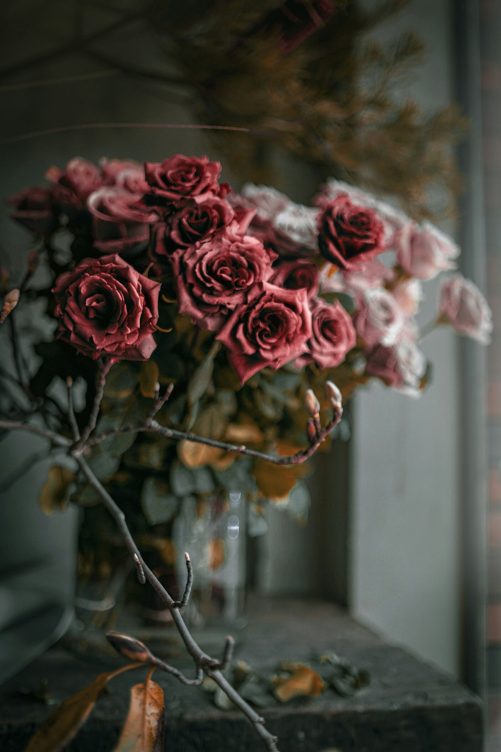 agnieszka-stankiewicz-Qym51XVC-MU-unsplash