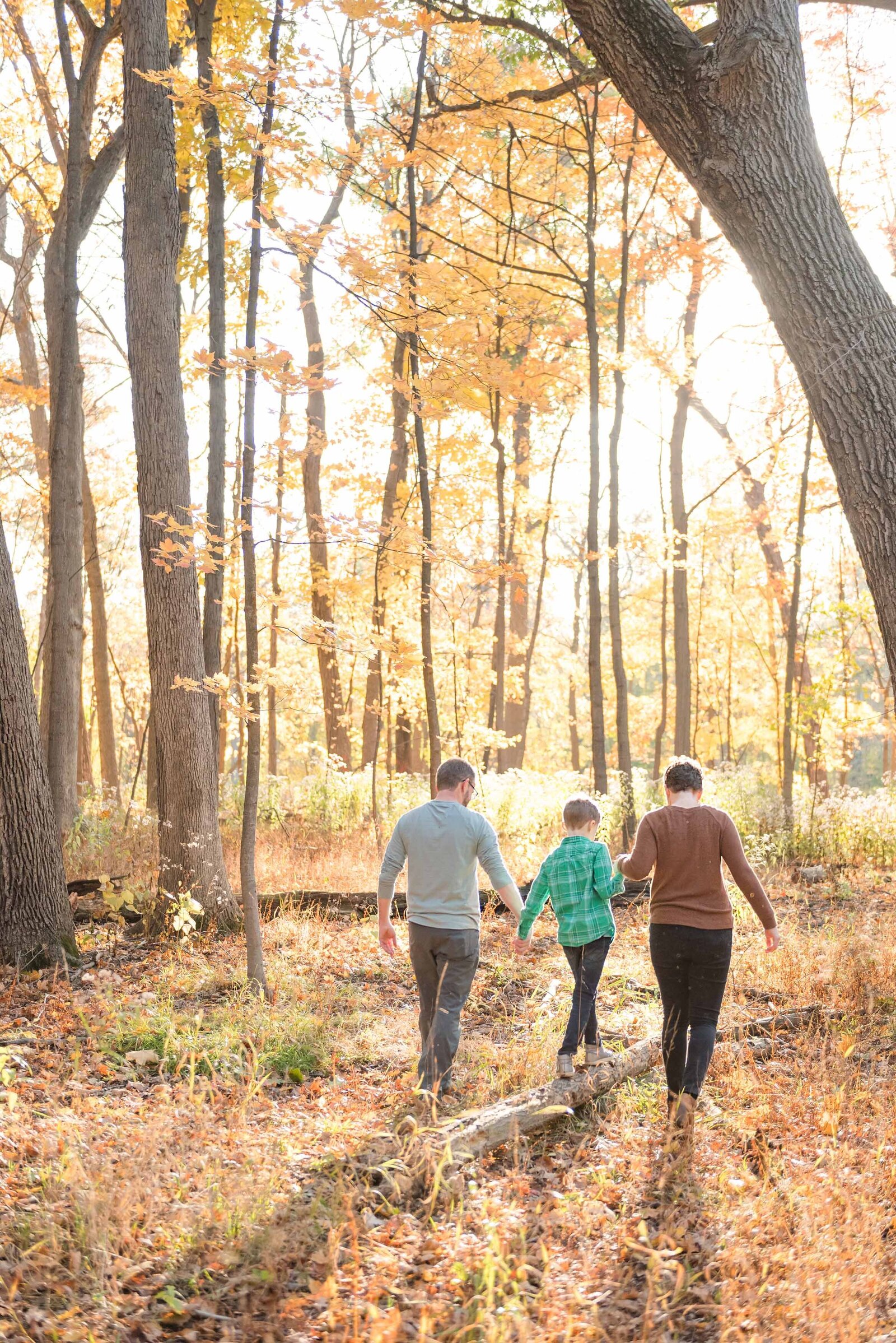Family of three in the sunny fall woods for their Chicago family photos
