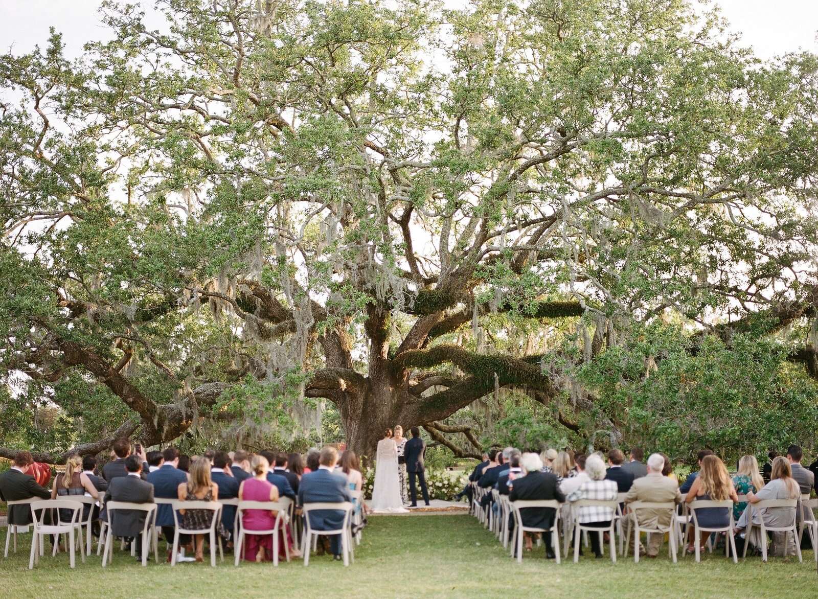 Sarah and George traded vows amid towering oak trees in a lavish wedding planner by Vogue Top Planner and Designer Michelle Norwood