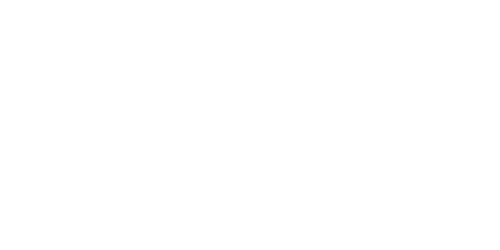 Dude-and-Duke_500x250-2