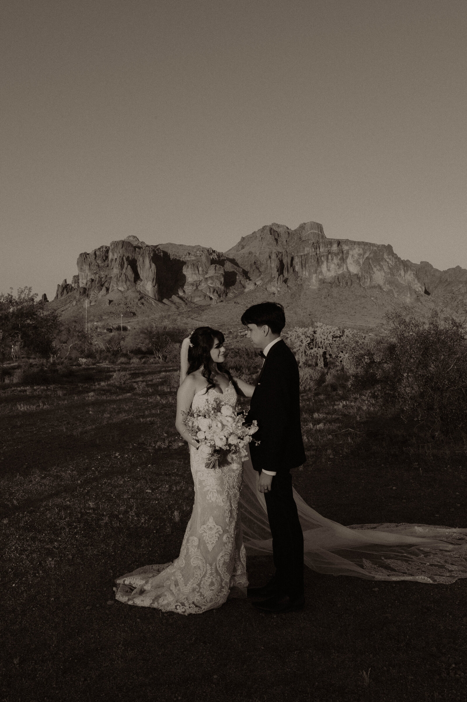 TheCarmonasWeddingAZ-952