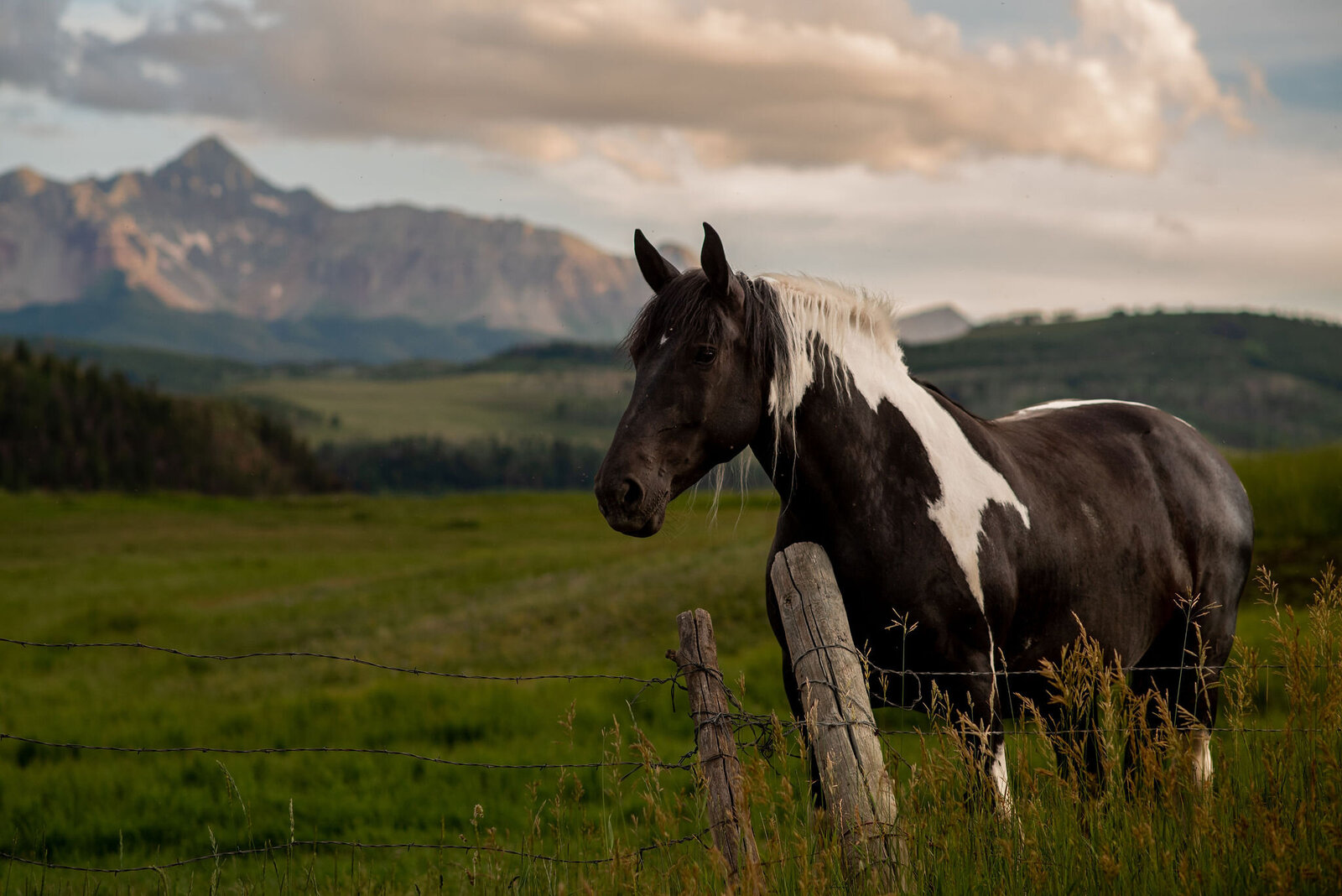 KateSeymourPhotography-Telluride-162