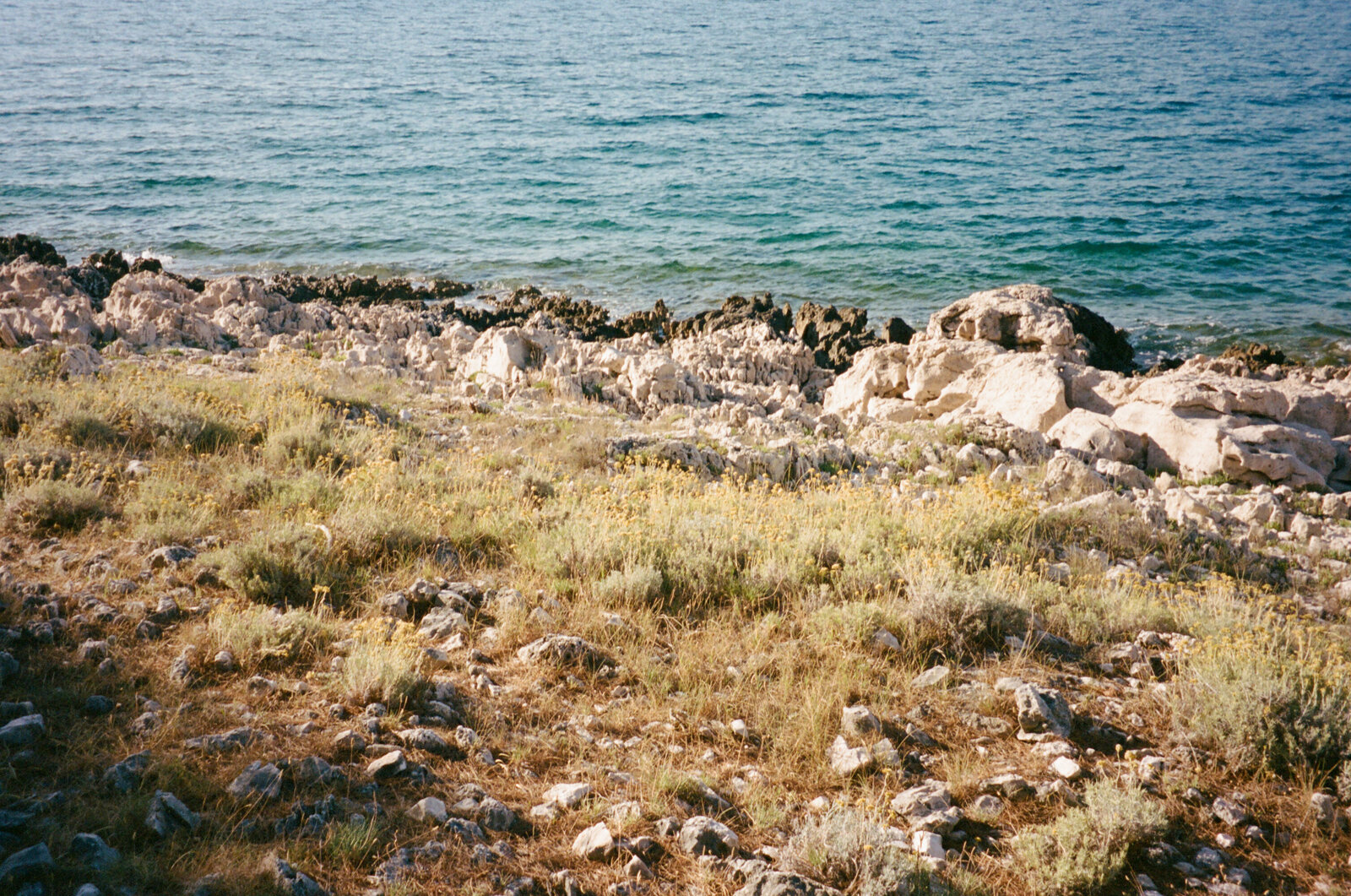 july_35mm-95
