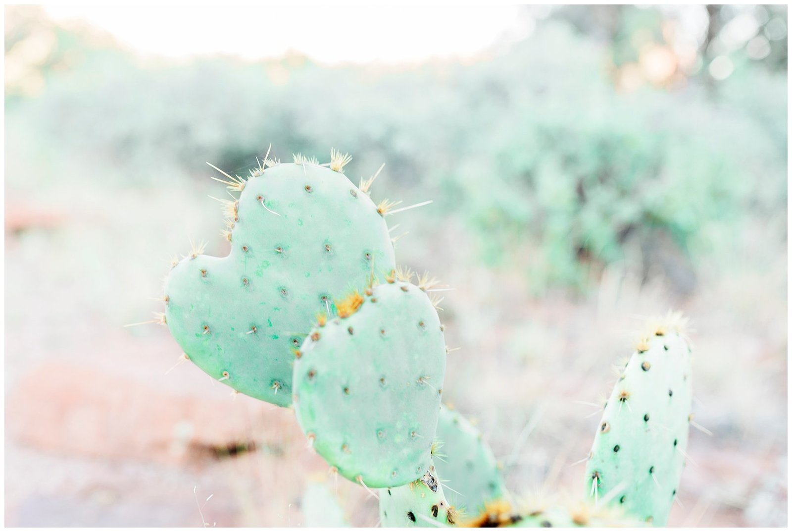 Family Maternity And Newborn Photographer In Goodyear Arizona