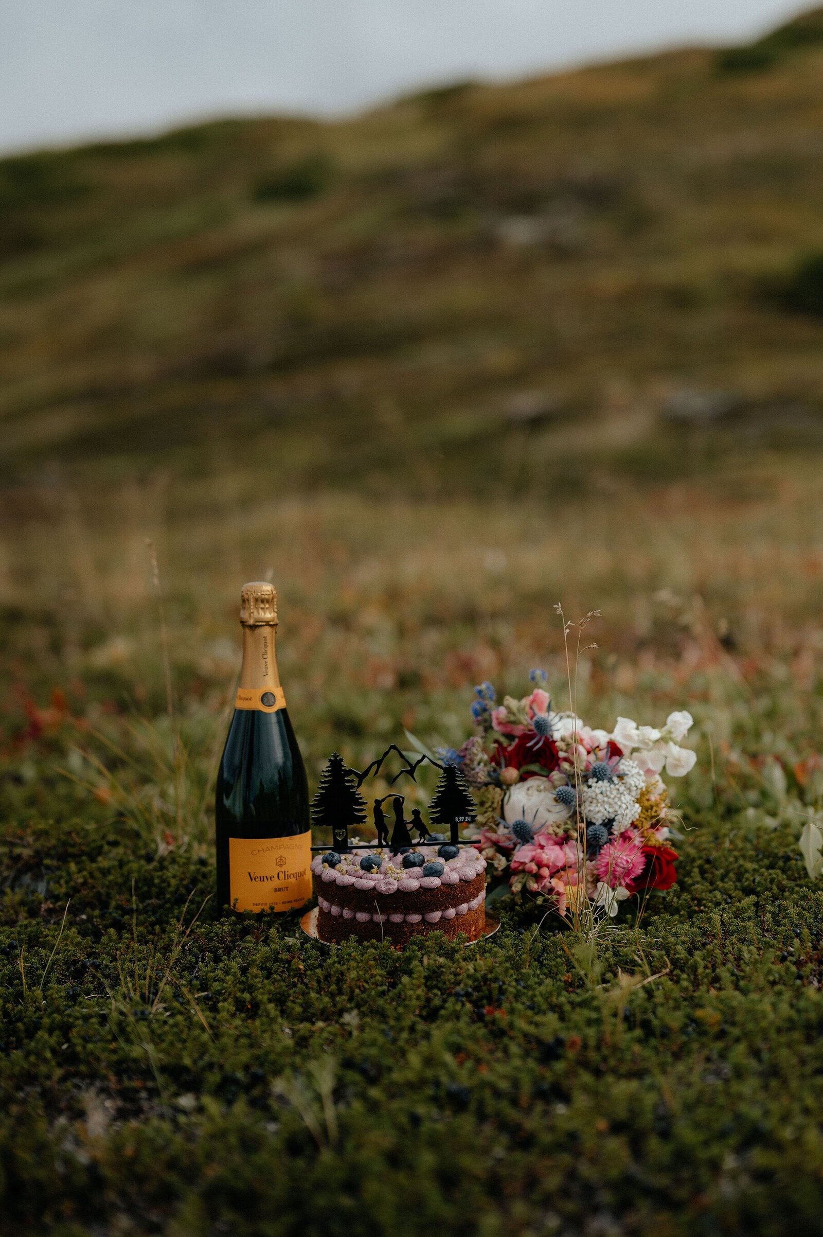 Christina+Matt_Knik-Glacier-Elopement_EmeliaKPhotography-52
