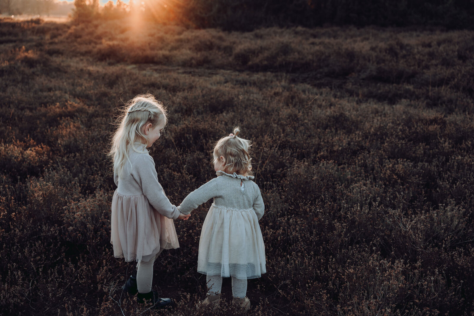 Fotograaf ommen overijssel Jetske Wijnhoud fotografie (6)