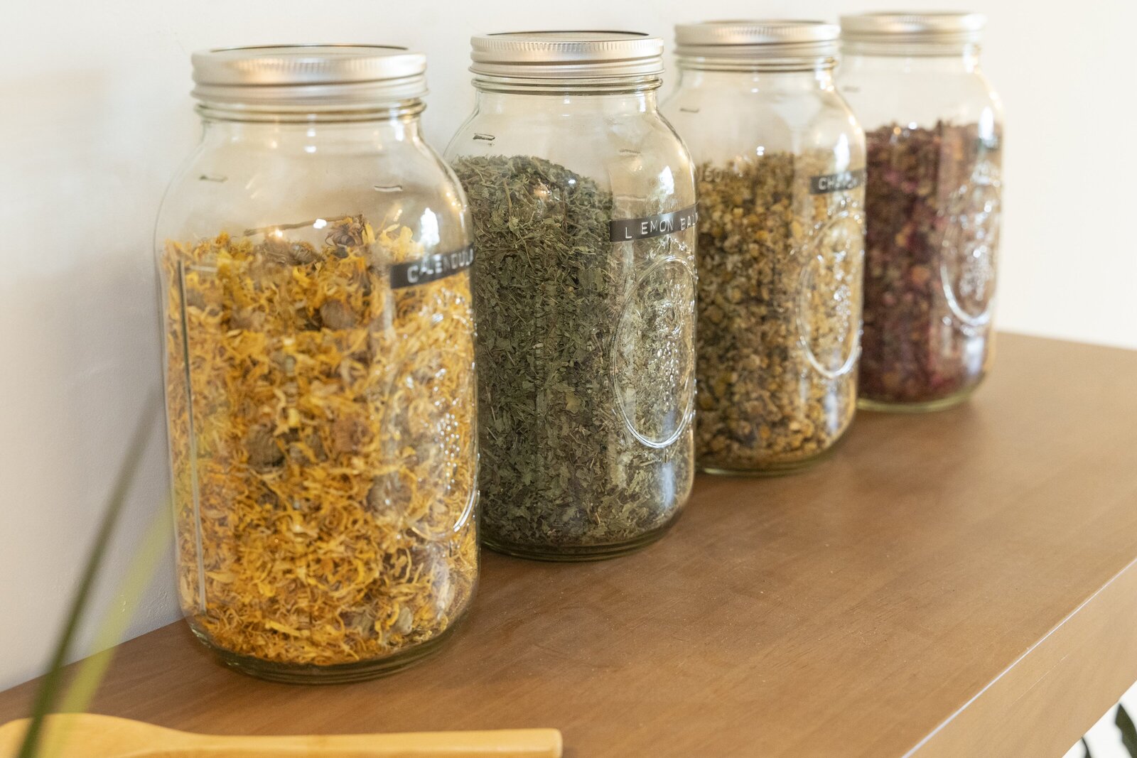 Herbs for Summer Vitality-PhotobyEmilyRose-7