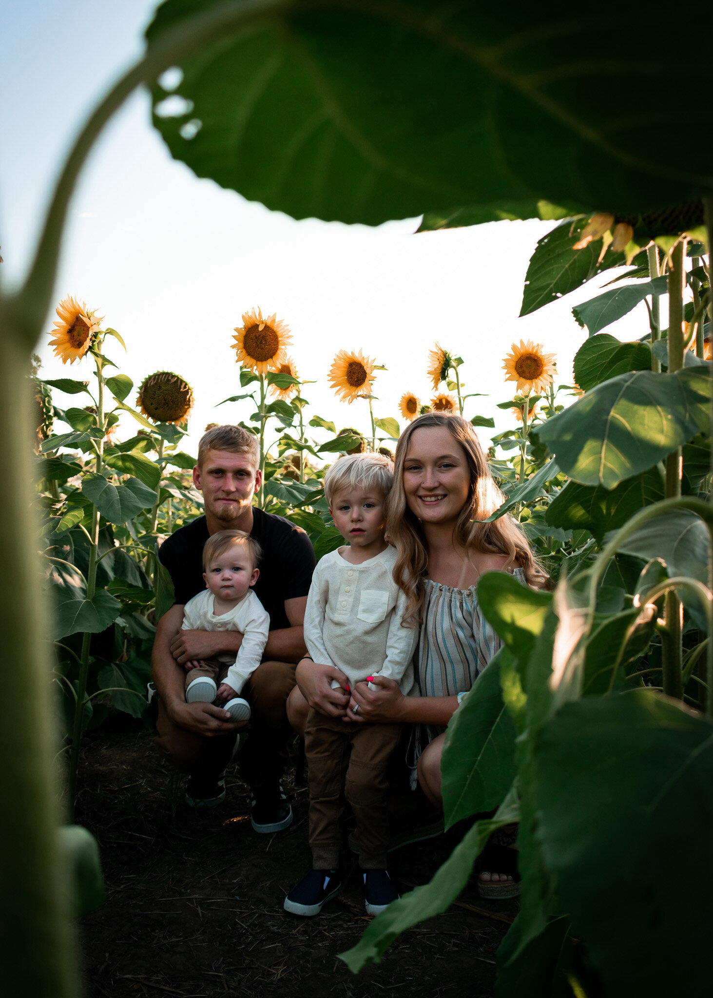 sunflower family portrait