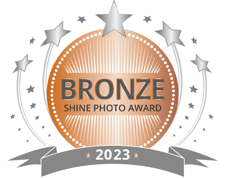 2023_SHINE-Award-BRONZE