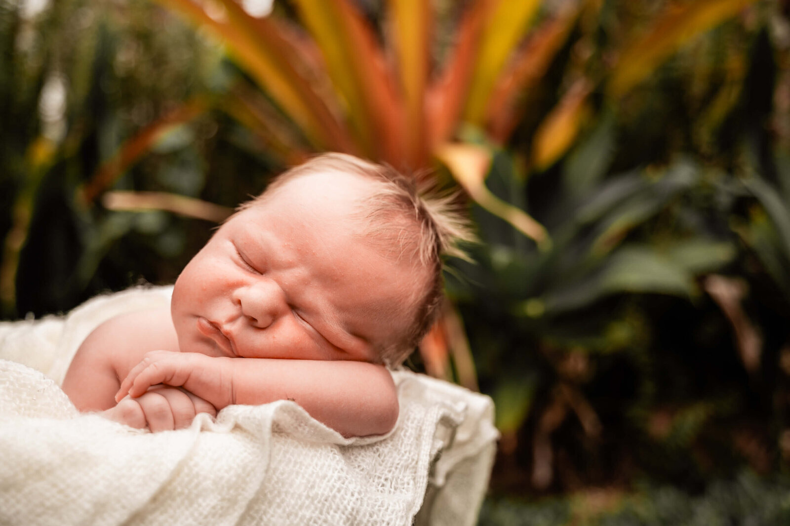 townsville_newborn_photography-78
