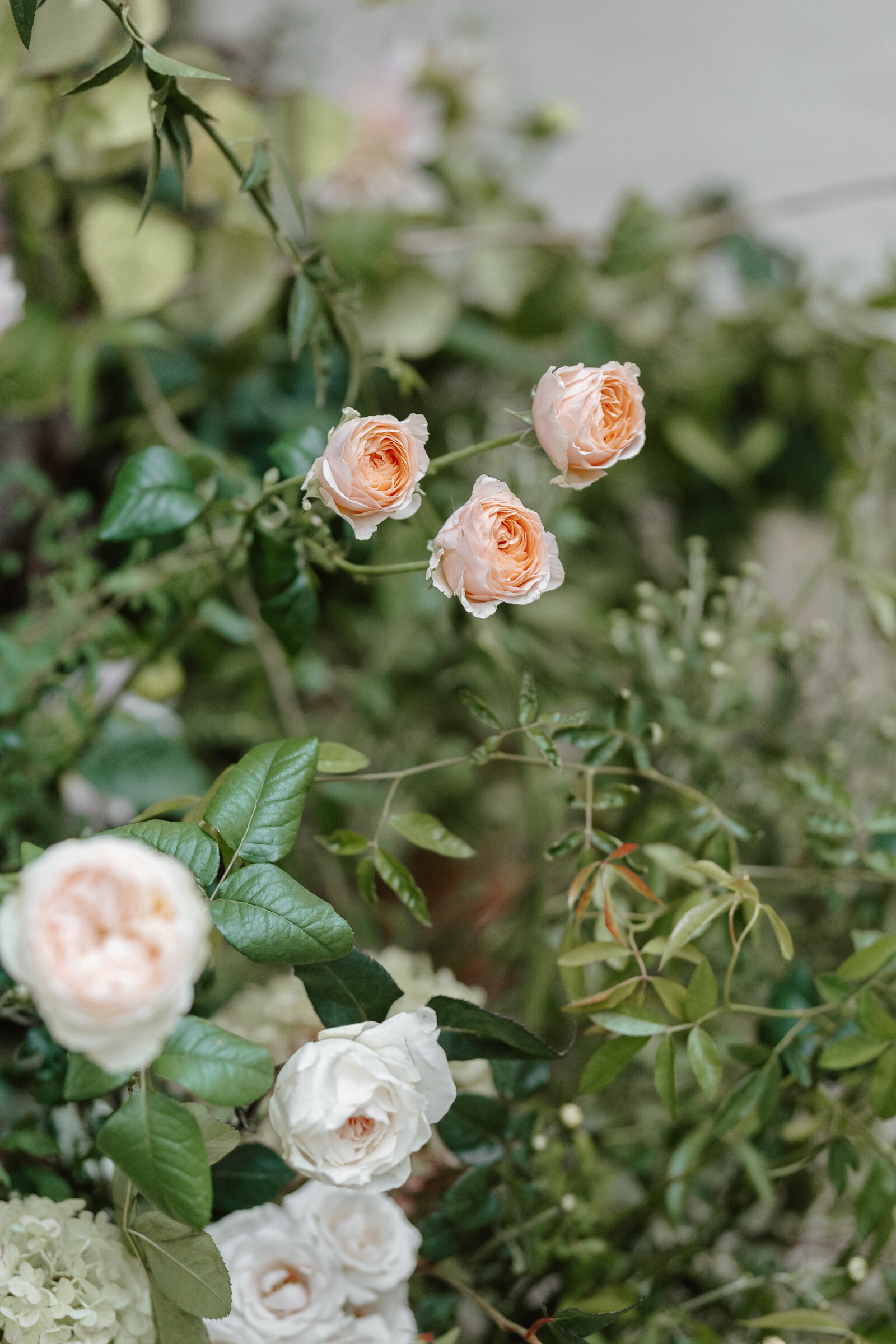 Chloe-Ely-Photography-Kin-House-HJ-94