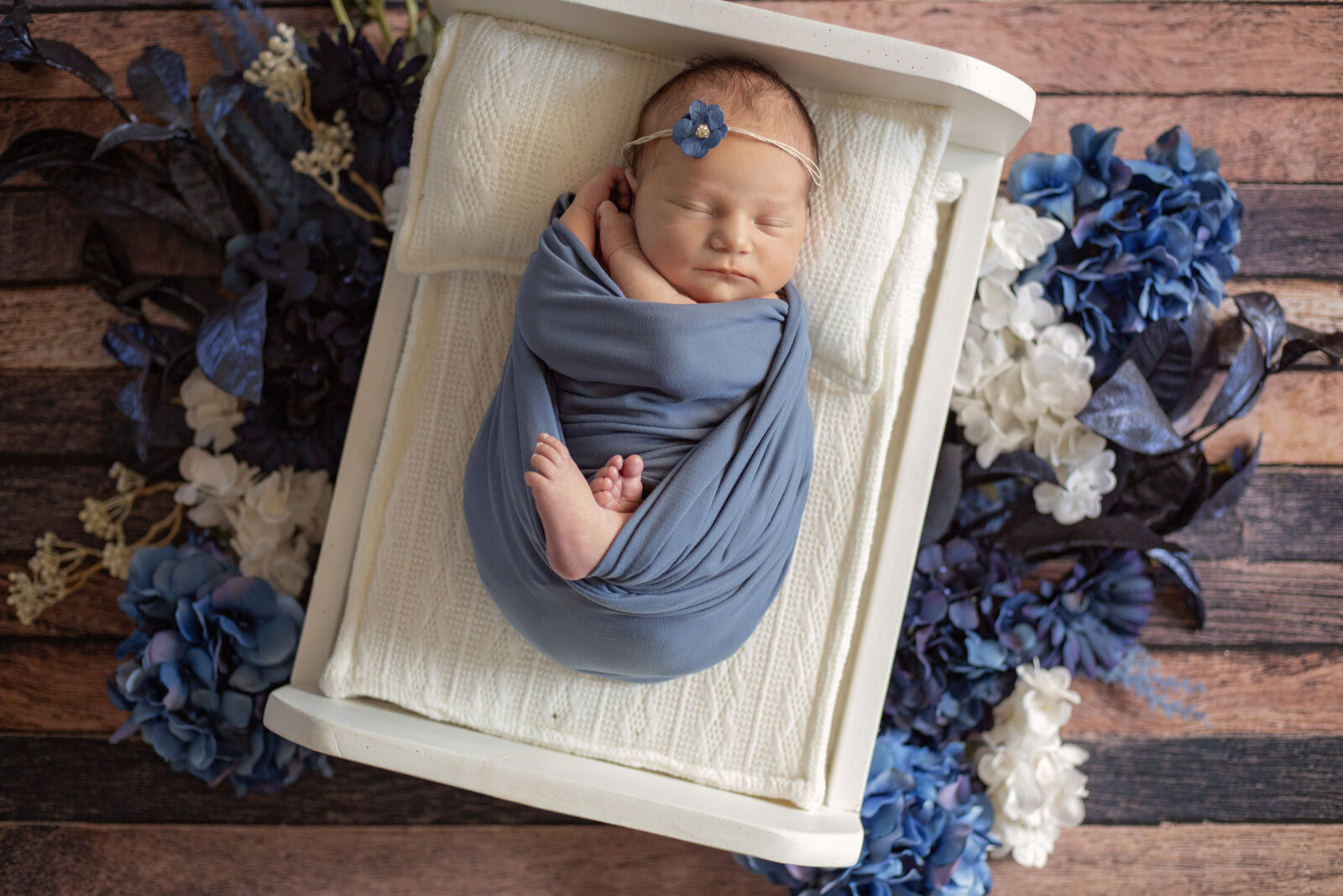 ABQ-newborn-photos-baby-girl-blue-flowers