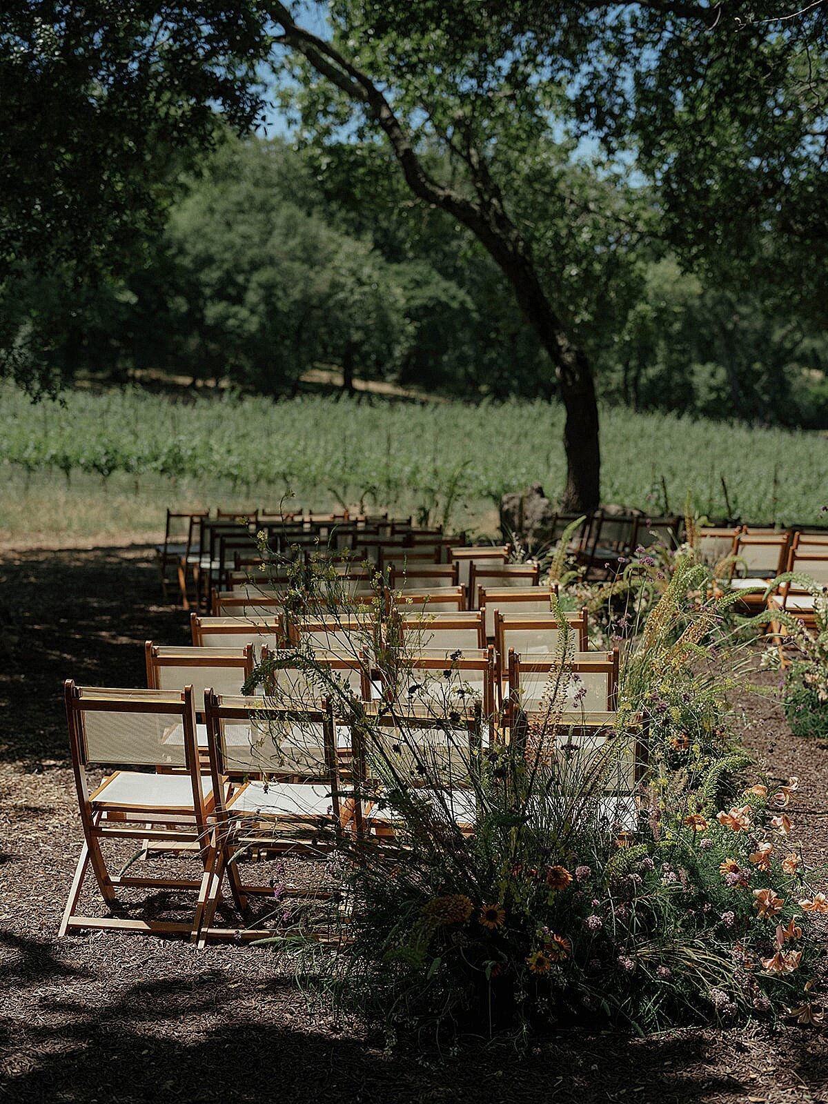 sonoma-vineyard-estate-wedding-5