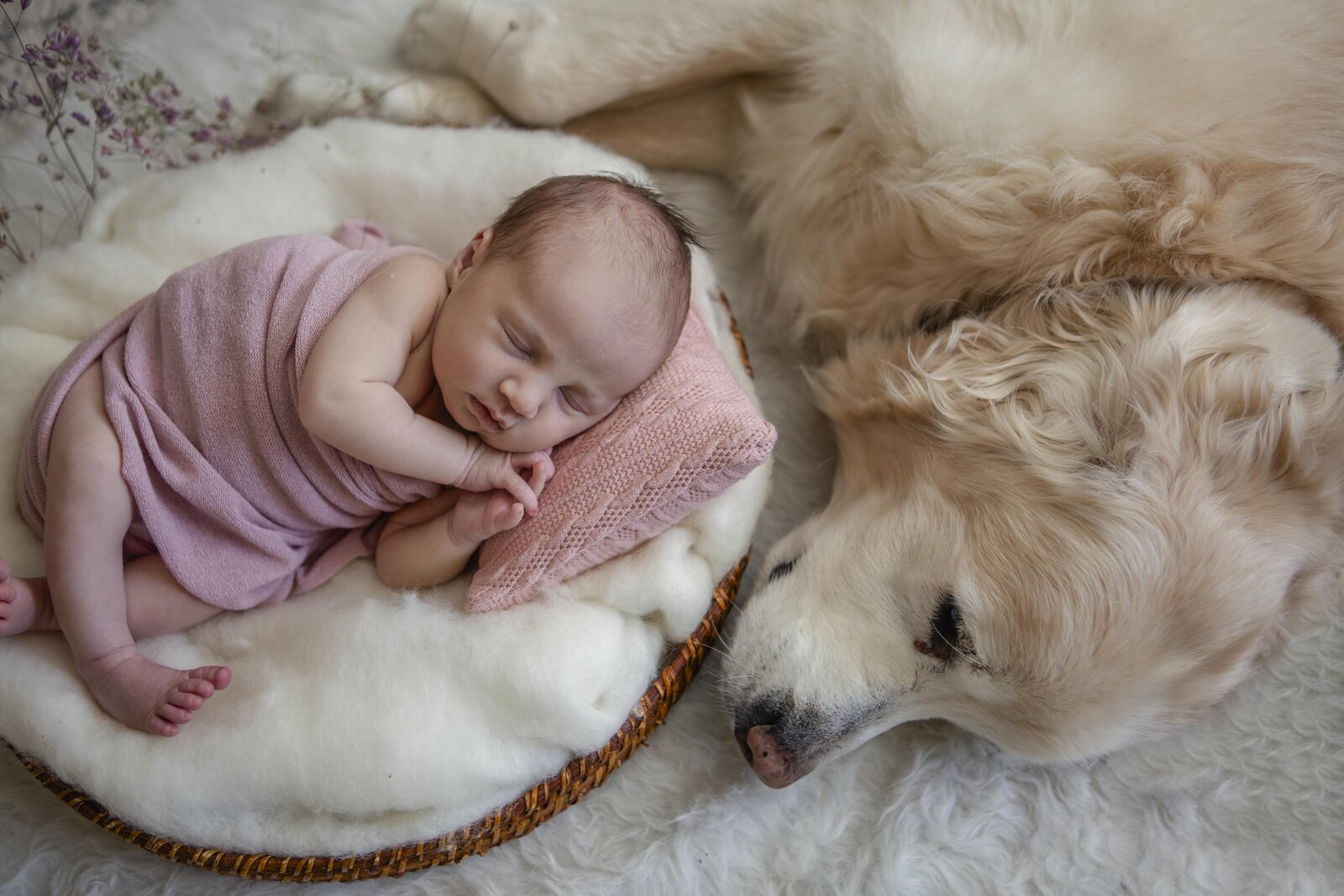North Georgia Newborn Photographer