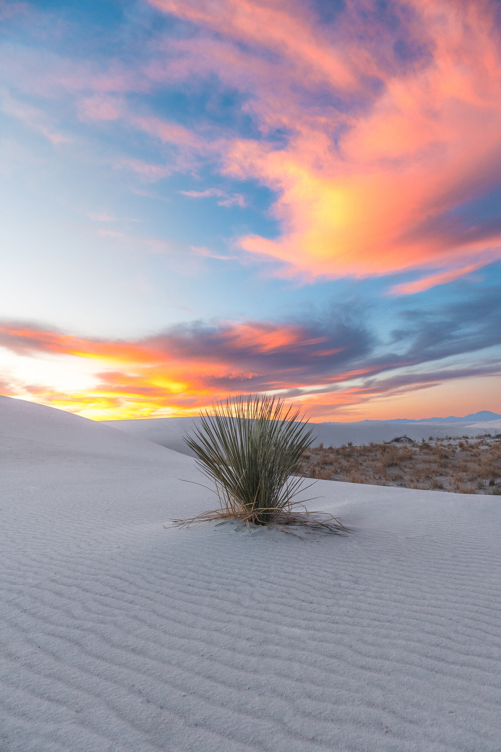 White-Sands-National-Park-Travel-Photographer-Erin-Donahue-niredonahue 2