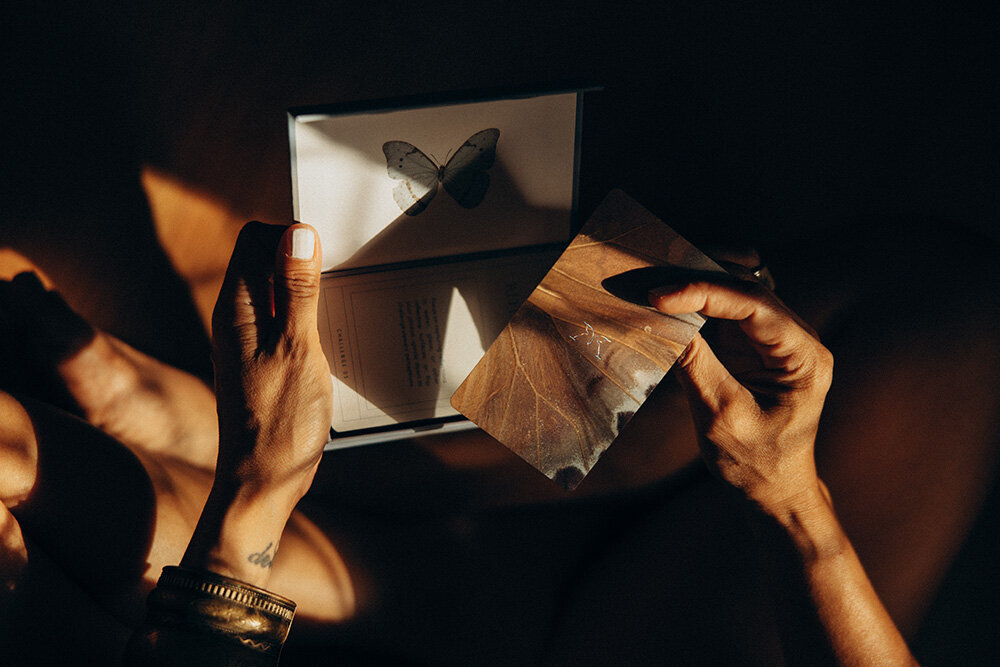 Creative brand photography capturing hands holding a delicate butterfly art piece, evoking storytelling and craftsmanship.