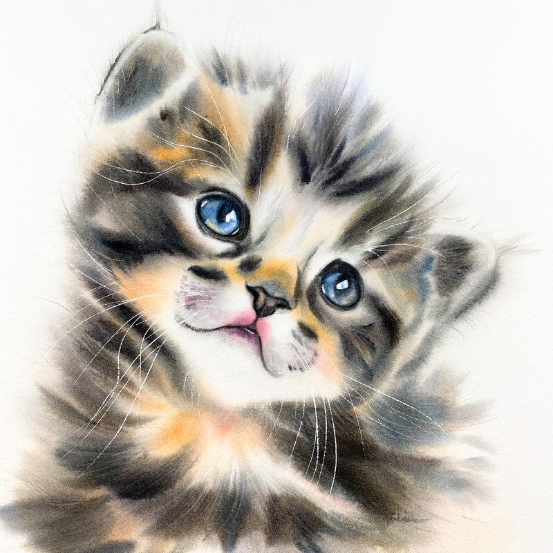 gray-cat-kitten-watercolor