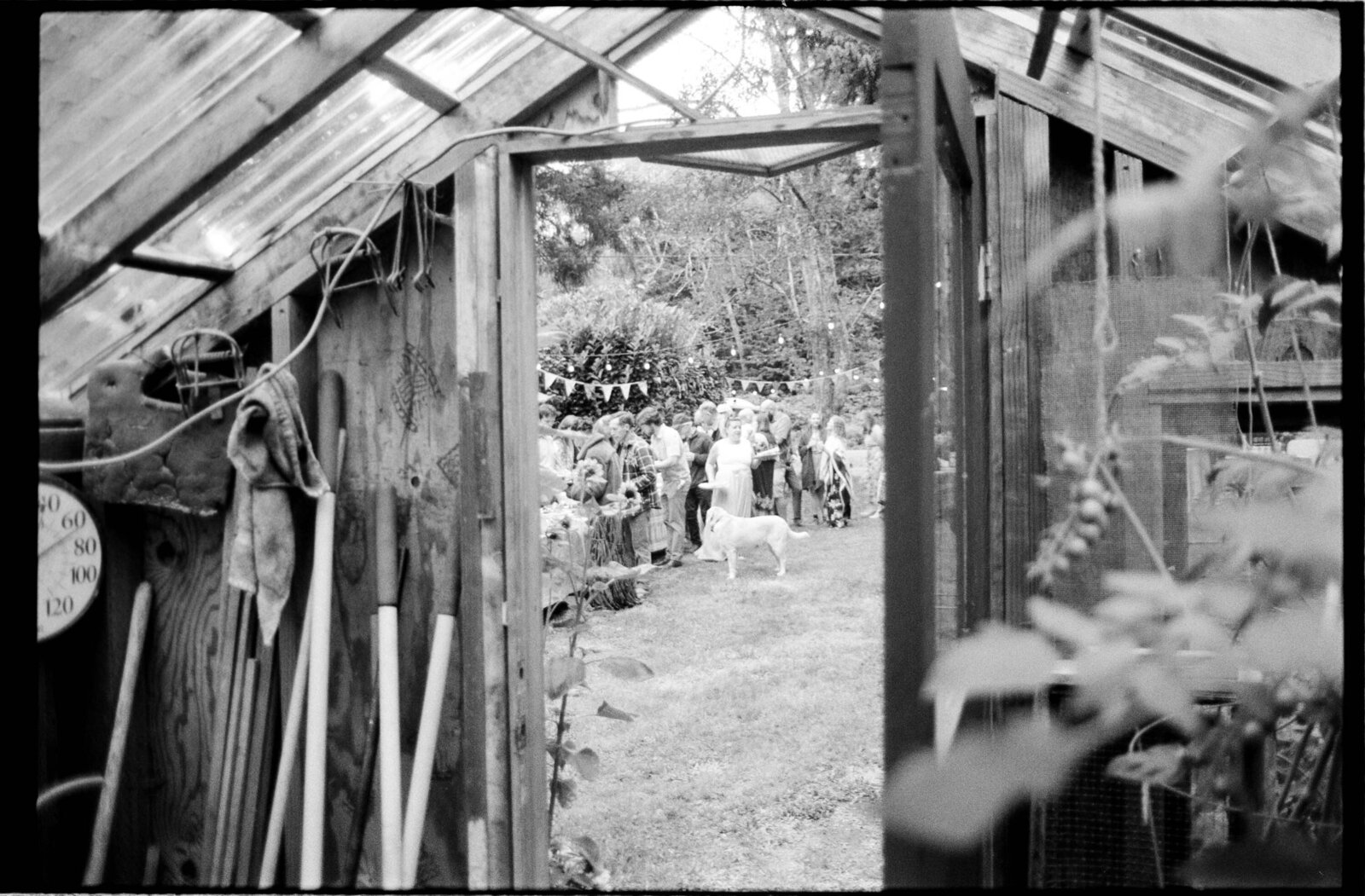 Jess-Buckley-Documentary-Wedding-Photographer-Film-45