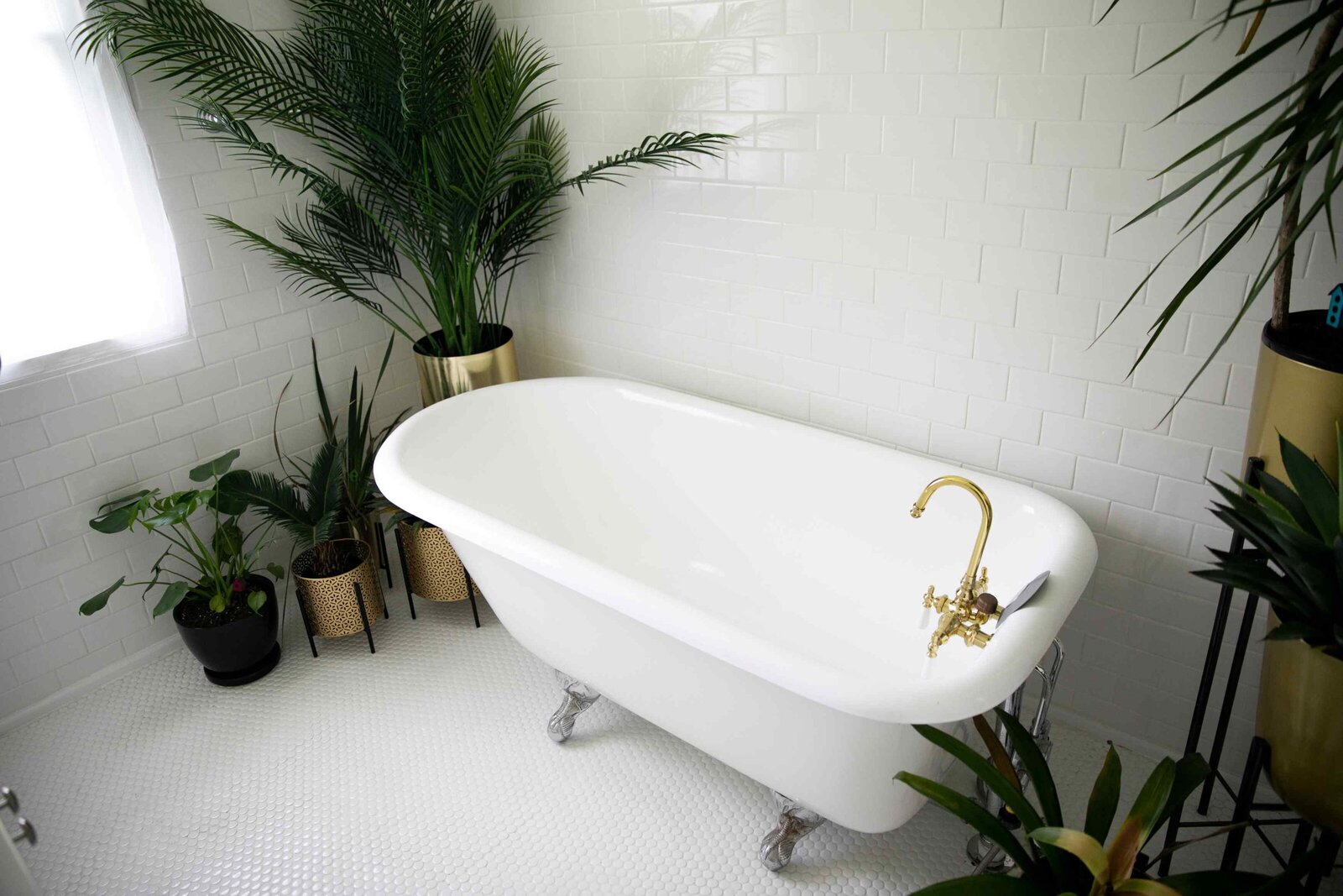 clawfoot tub with surrounding plants